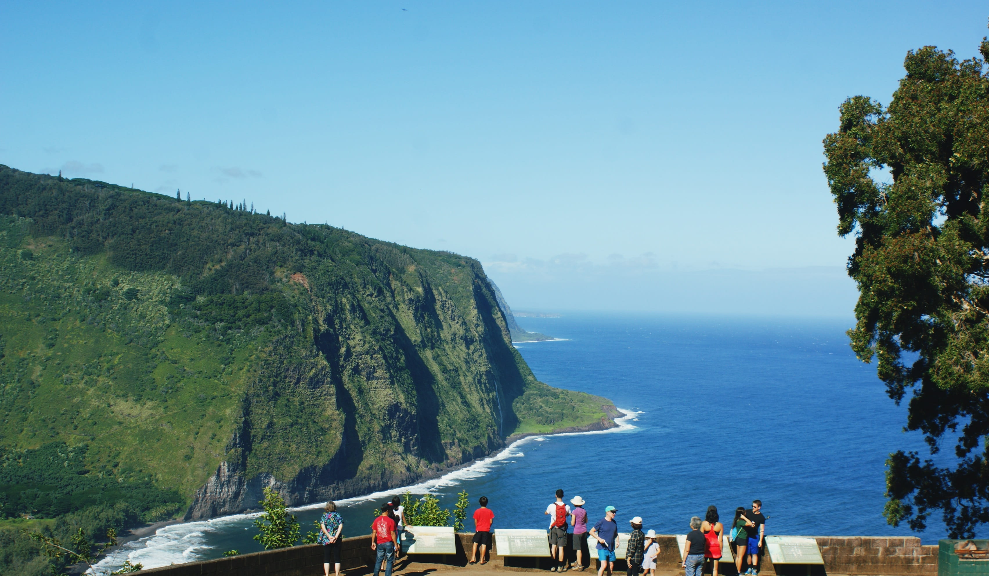 lush, men, climate, lifestyles, land, hawaii, green, group of people, sea, waipio valley, ocean, landscape, nature, tree, crowd, beauty in nature, clear sky, HD Wallpaper