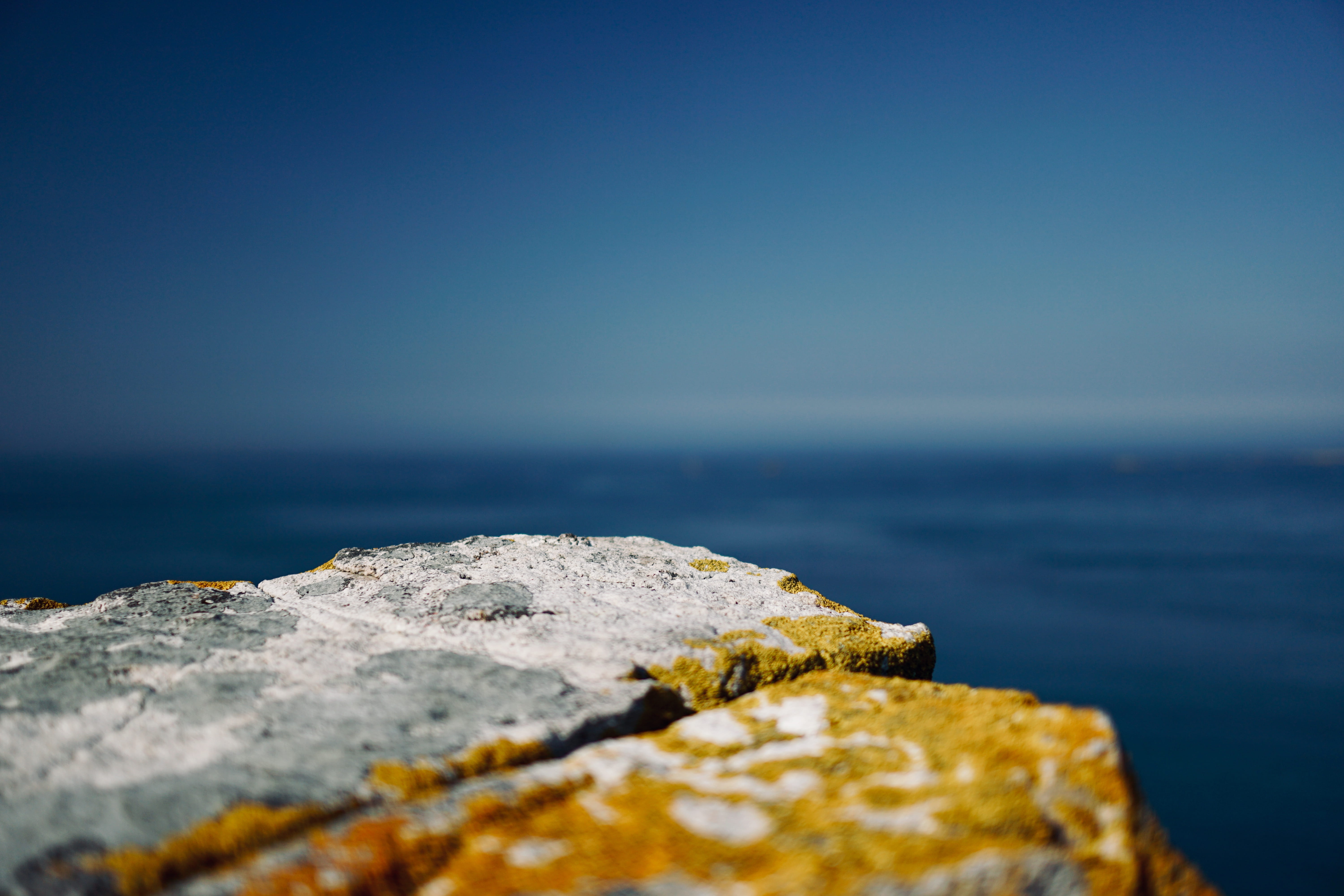 animal, blue, day, tranquility, copy space, water, plant, adventure, blur, flare, no people, beauty in nature, sea, tranquil scene, lichen, horizon, polar, HD Wallpaper