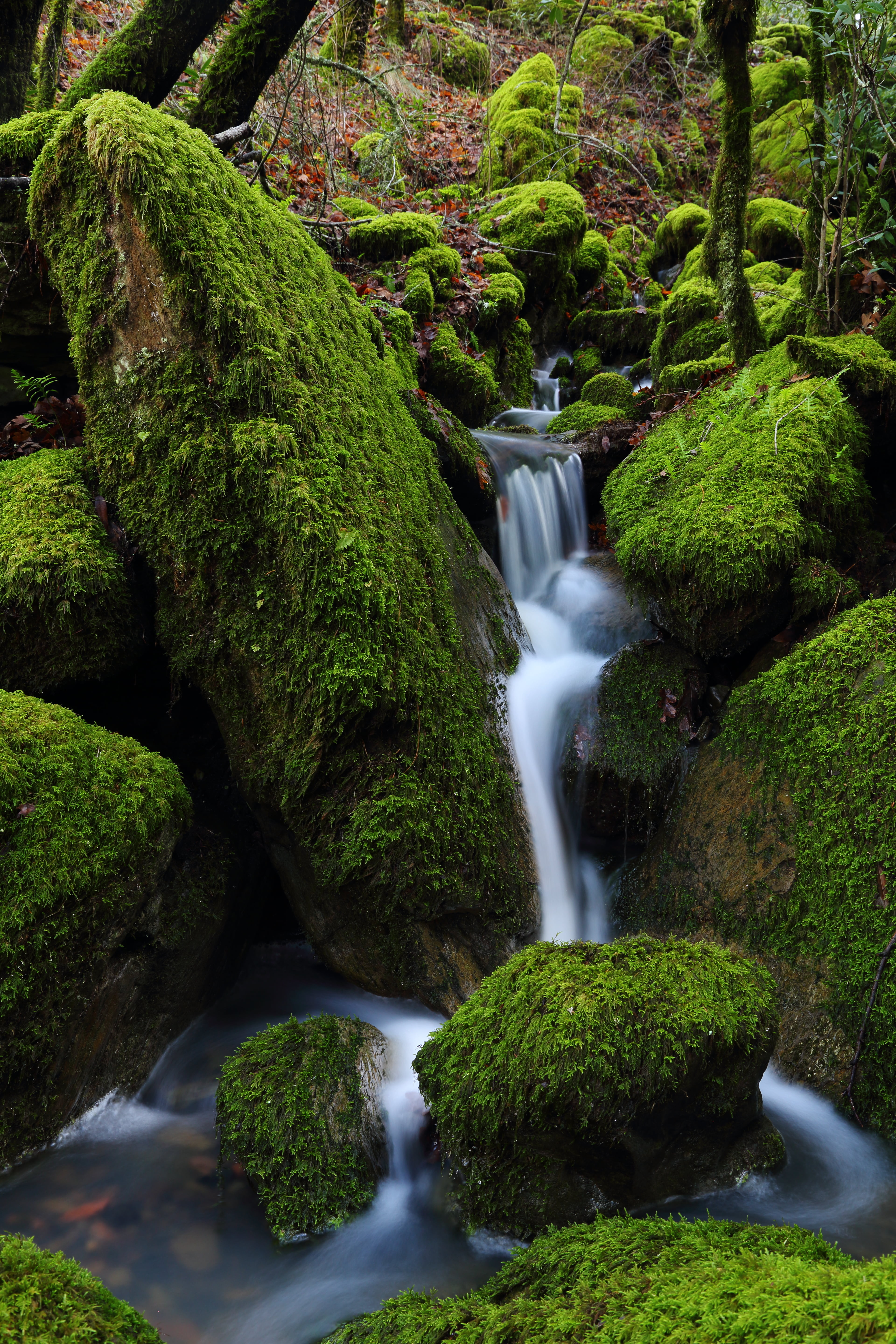 river, trees, forest, water, falls, Polarizing Filter, drought, 5K, Circular, outdoors, stream, nature, landscape, Sonoma County, green, tree, rocks, scenics, Phone HD Wallpaper