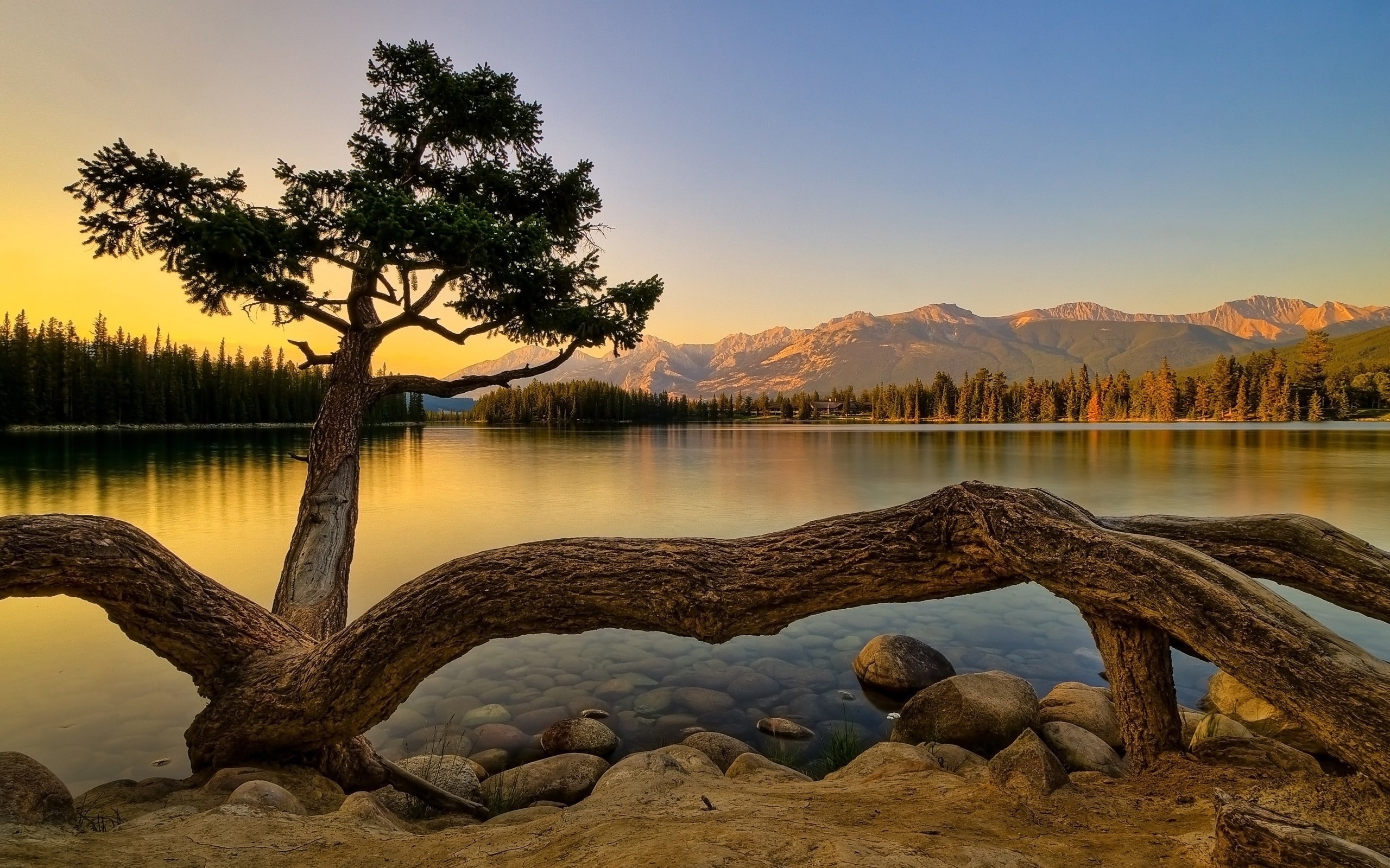 body, mountains, photo, summer, water, lake, superb, landscape, sunset, 2K, tree, HD Wallpaper