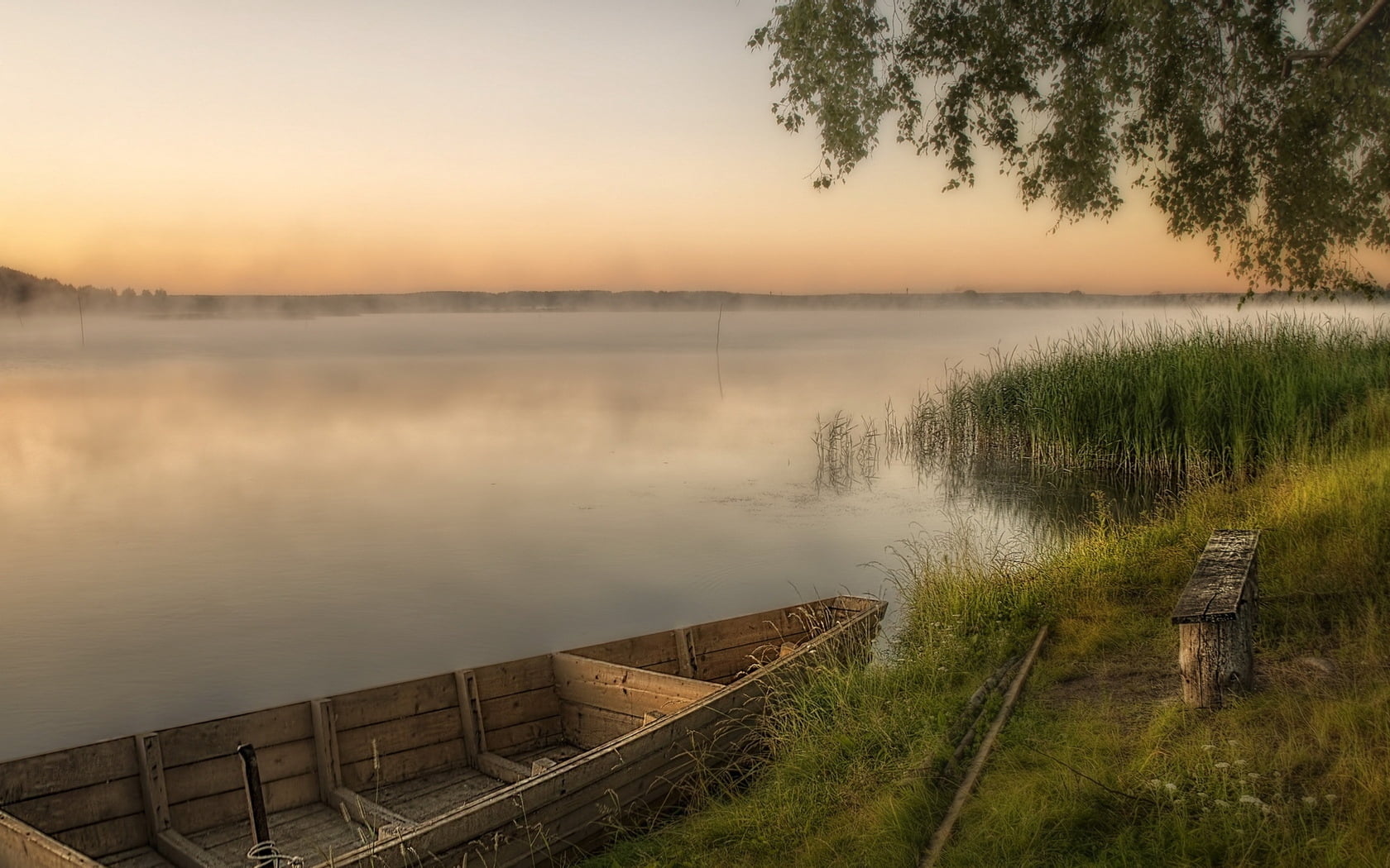 sunrise - Dawn, landscape, dusk, woodland, grass, sunlight, boat, scenics - nature, plant, illustration, no People, outdoors, fog, forest, tranquility, HD Wallpaper