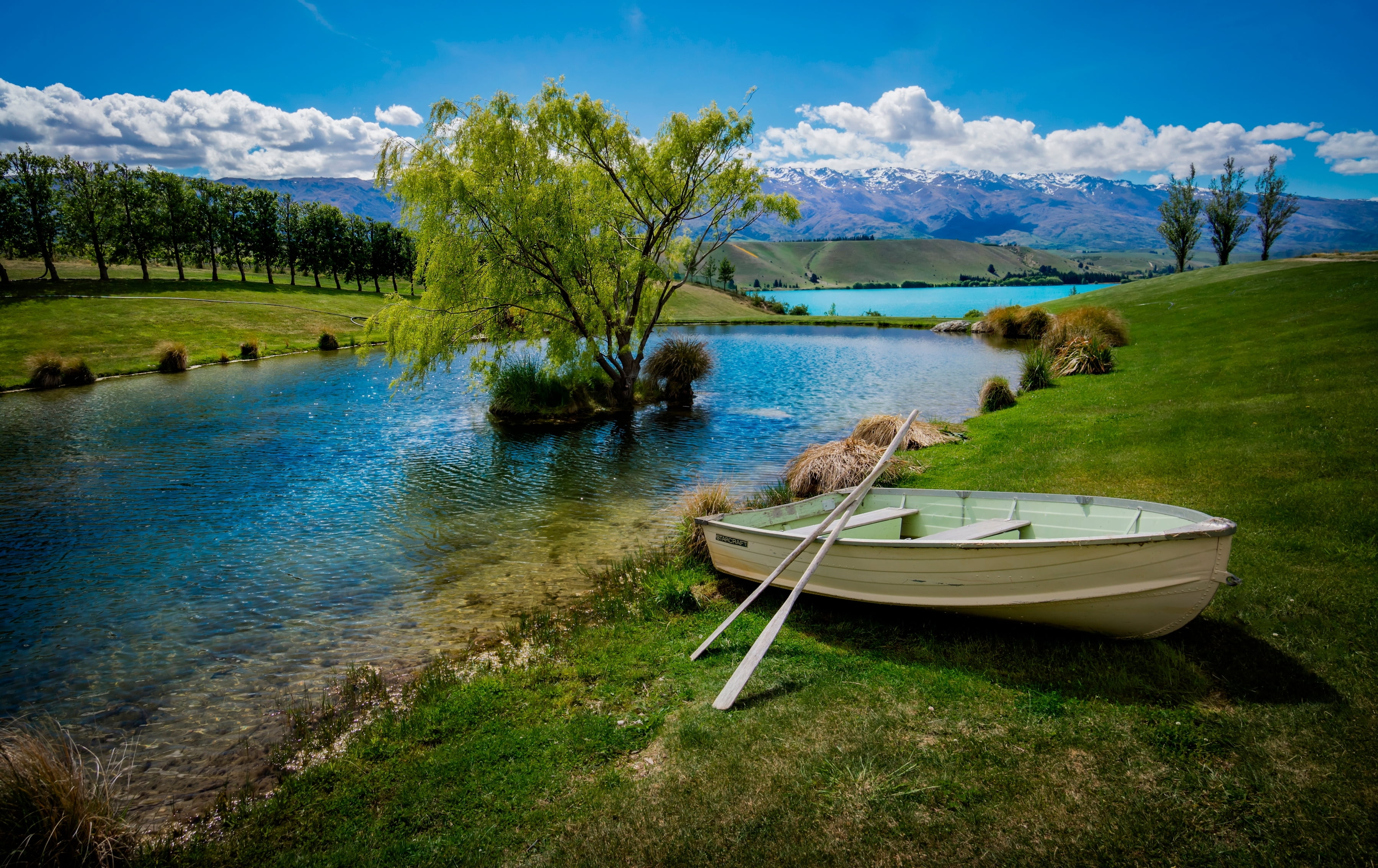 white, tranquility, nature, grass, tranquil scene, tree, water, scenics - nature, outdoors, 2K, lake, transportation, non-urban scene, rowboat, cloud - sky, HD Wallpaper