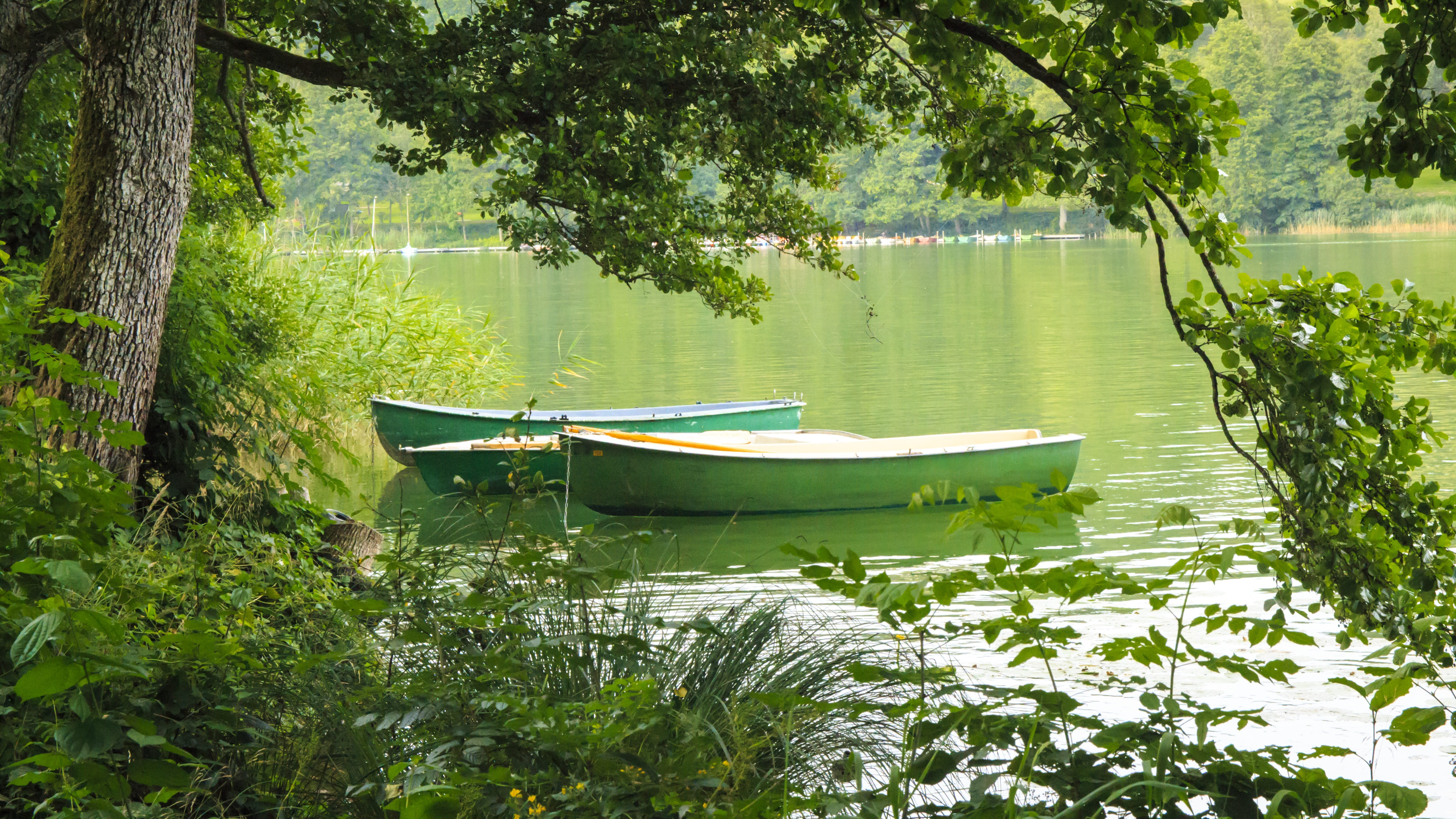 rowing boat, fun, 5K, scenics - nature, boats, river, rowboat, lake, padel, plant, three, transportation, no people, swim, reflection, nature, beauty in nature, HD Wallpaper