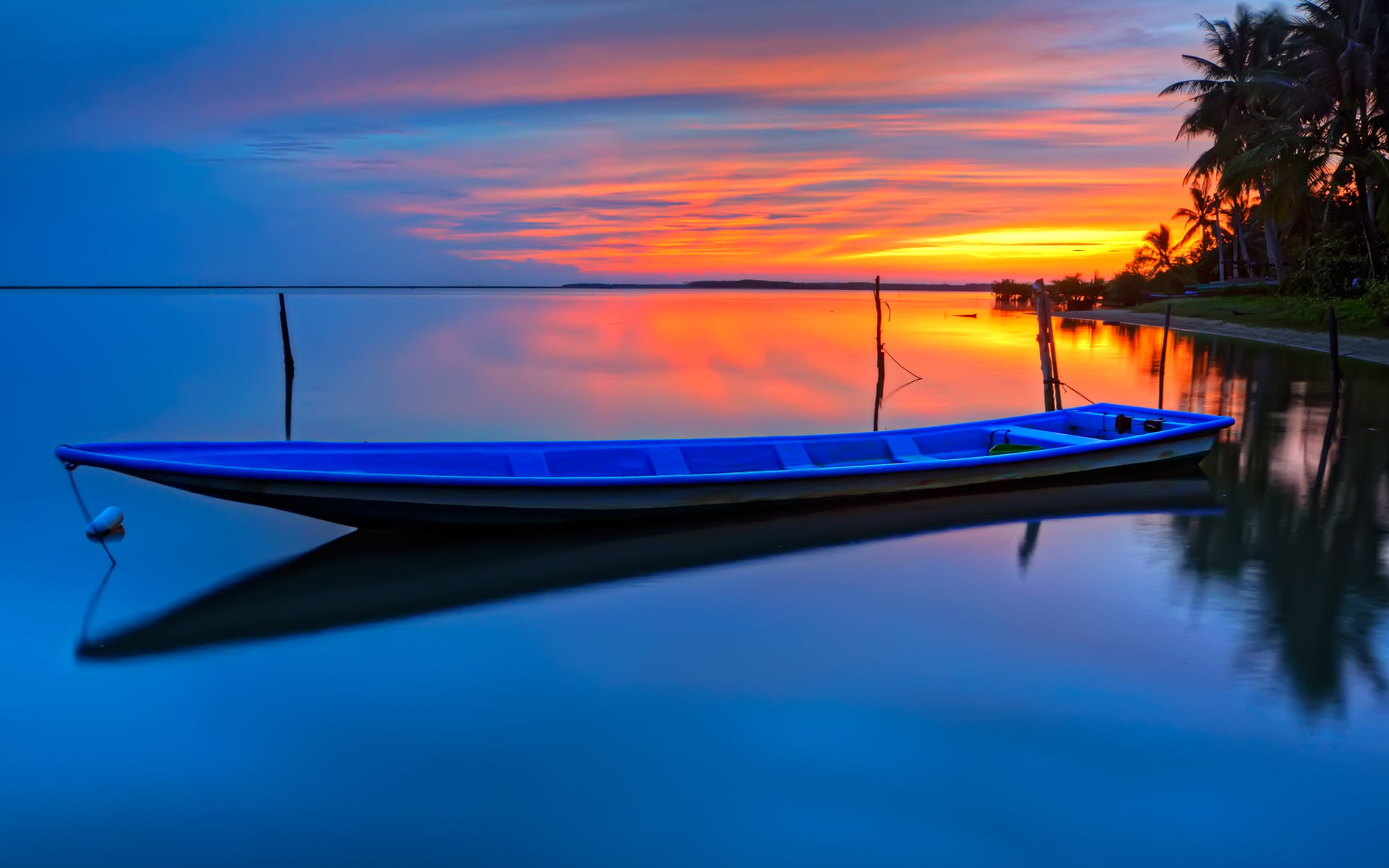 BEAUTY, jon, DAWN, 1080P, BOAT, SUNSET, HORIZON, DAL, blue, PALM trees, brown, WATER, The SKY, SURFACE, CLOUDS, SHORE, REFLECTION, HD Wallpaper