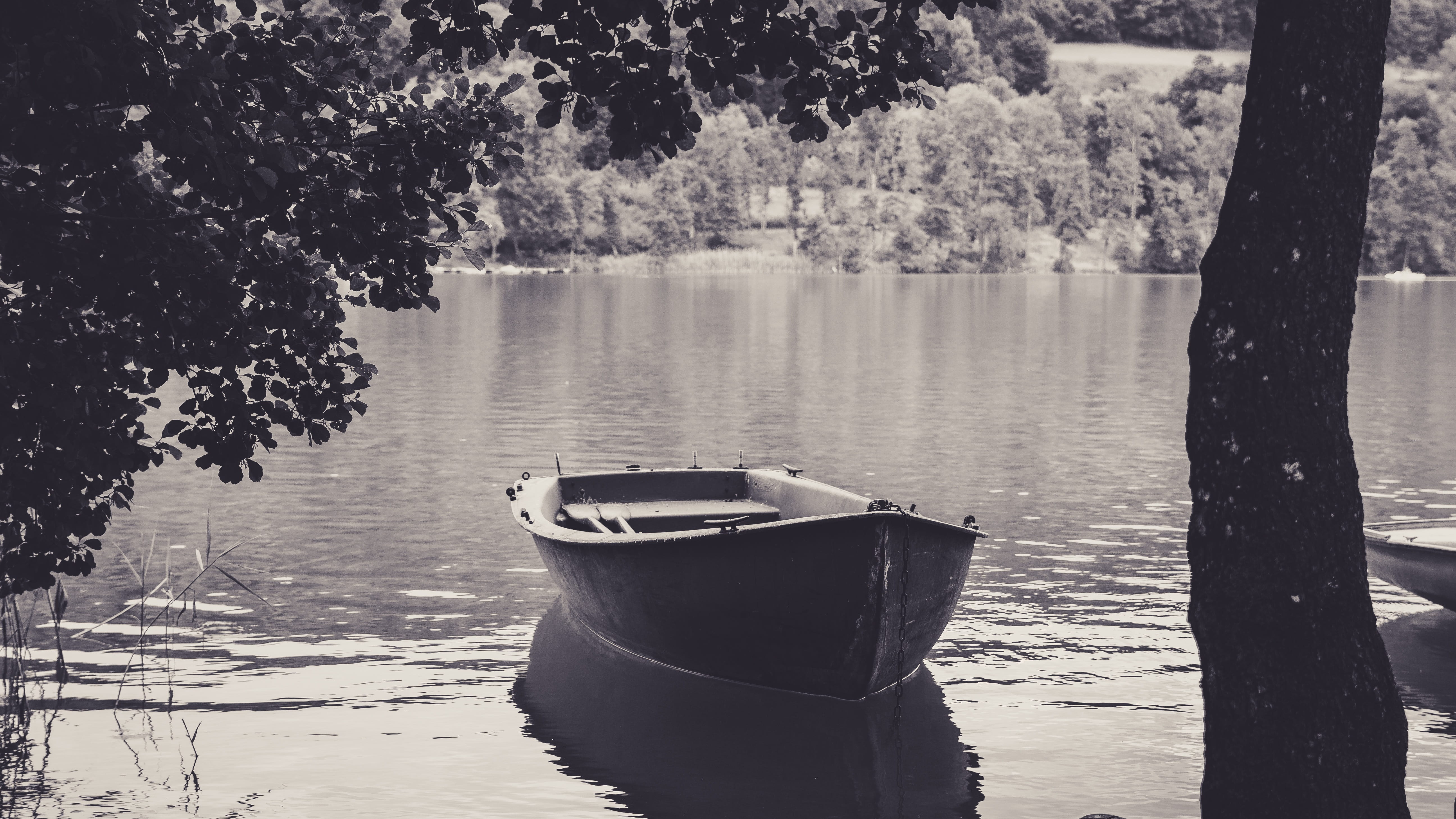 transportation, panorama, idyll, leisure, boat, jon, nautical vessel, day, rest, sailing ships, mood, lake, tree, rowboat, grayscale, moored, no people, HD Wallpaper