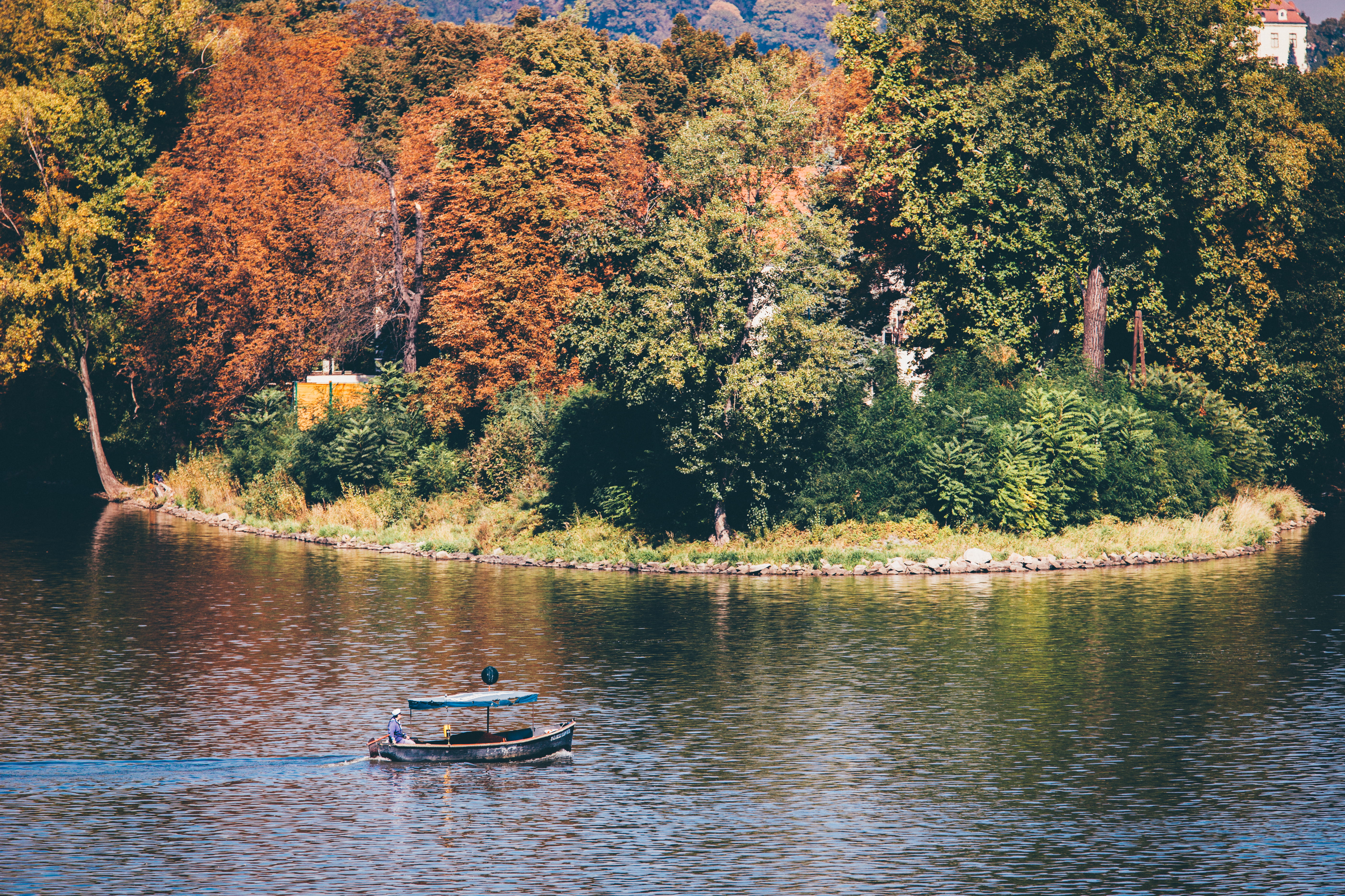 autumn, waterfront, growth, nautical vessel, mode of transportation, near, trees, forest, boat, scenics - nature, rowboat, body, lake, beauty in nature, HD Wallpaper