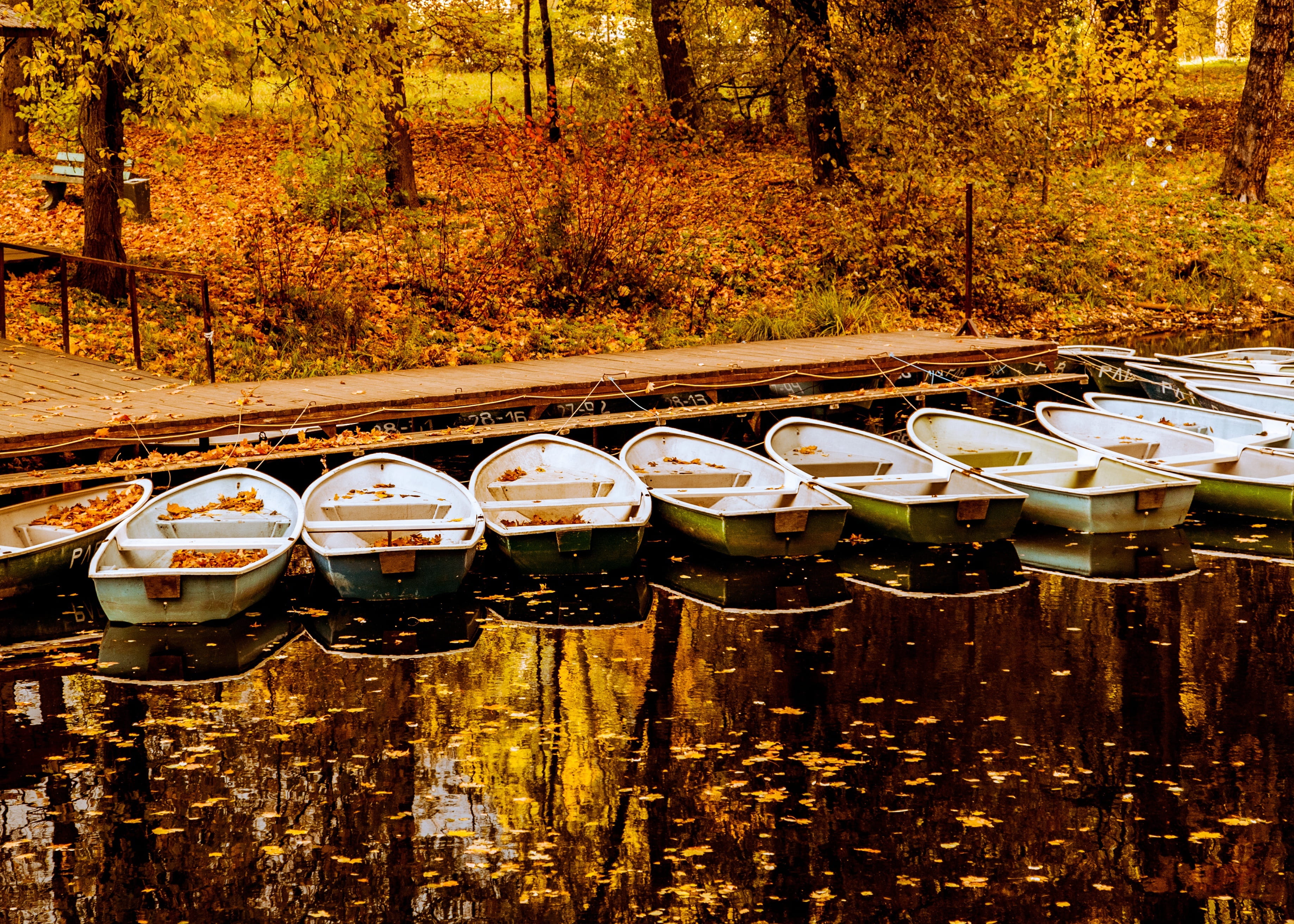 boat, refreshment, land, dock, 2K, food and drink, trees, reflection, outdoors, fall, in a row, wood - material, jon, autumn, outdoor, beside, nature, HD Wallpaper