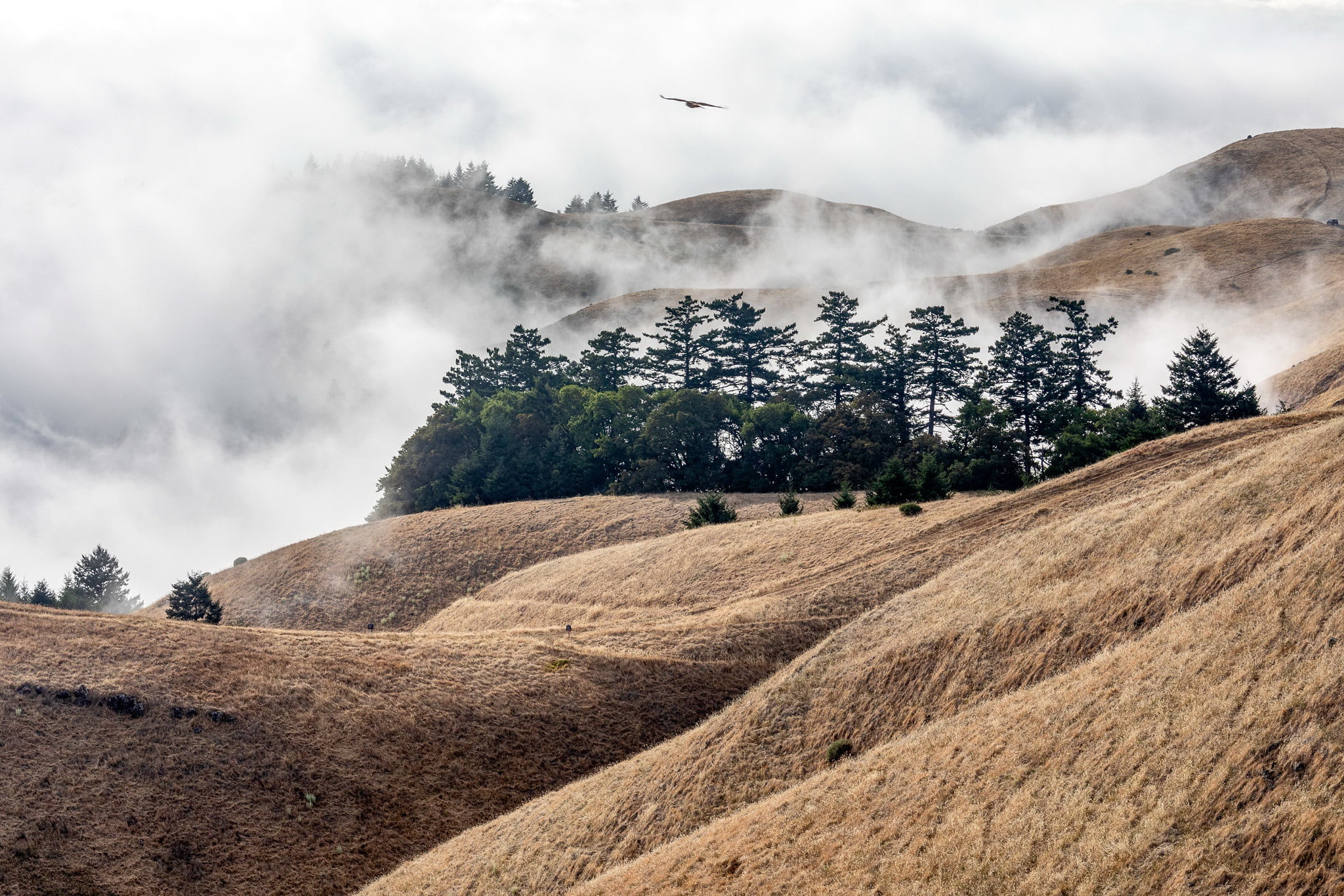 1080P, United States, Stinson Beach, Mount Tamalpais State Park, California, HD Wallpaper