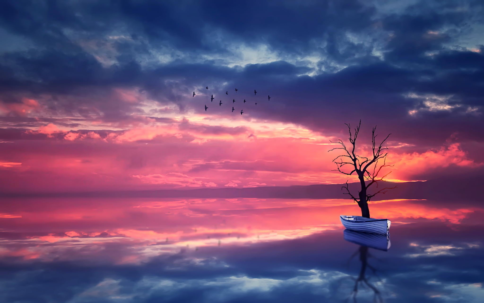 dramatic sky, beauty in nature, romantic sky, no people, orange color, jon, outdoors, plant, landscape, white, scenics - nature, bare tree, tranquil scene, HD Wallpaper