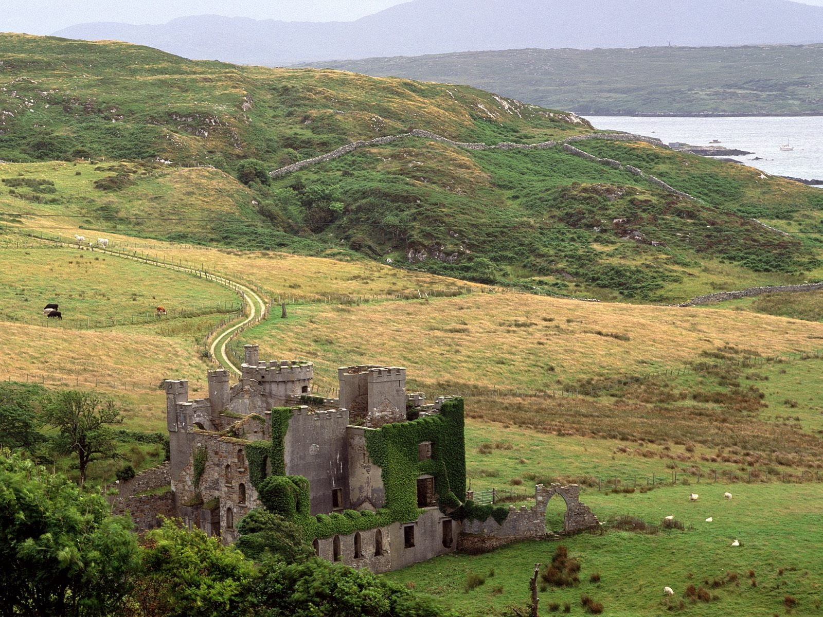 720P, castle, building, tower, arhitecture, tample, castles, world, fortres, HD Wallpaper