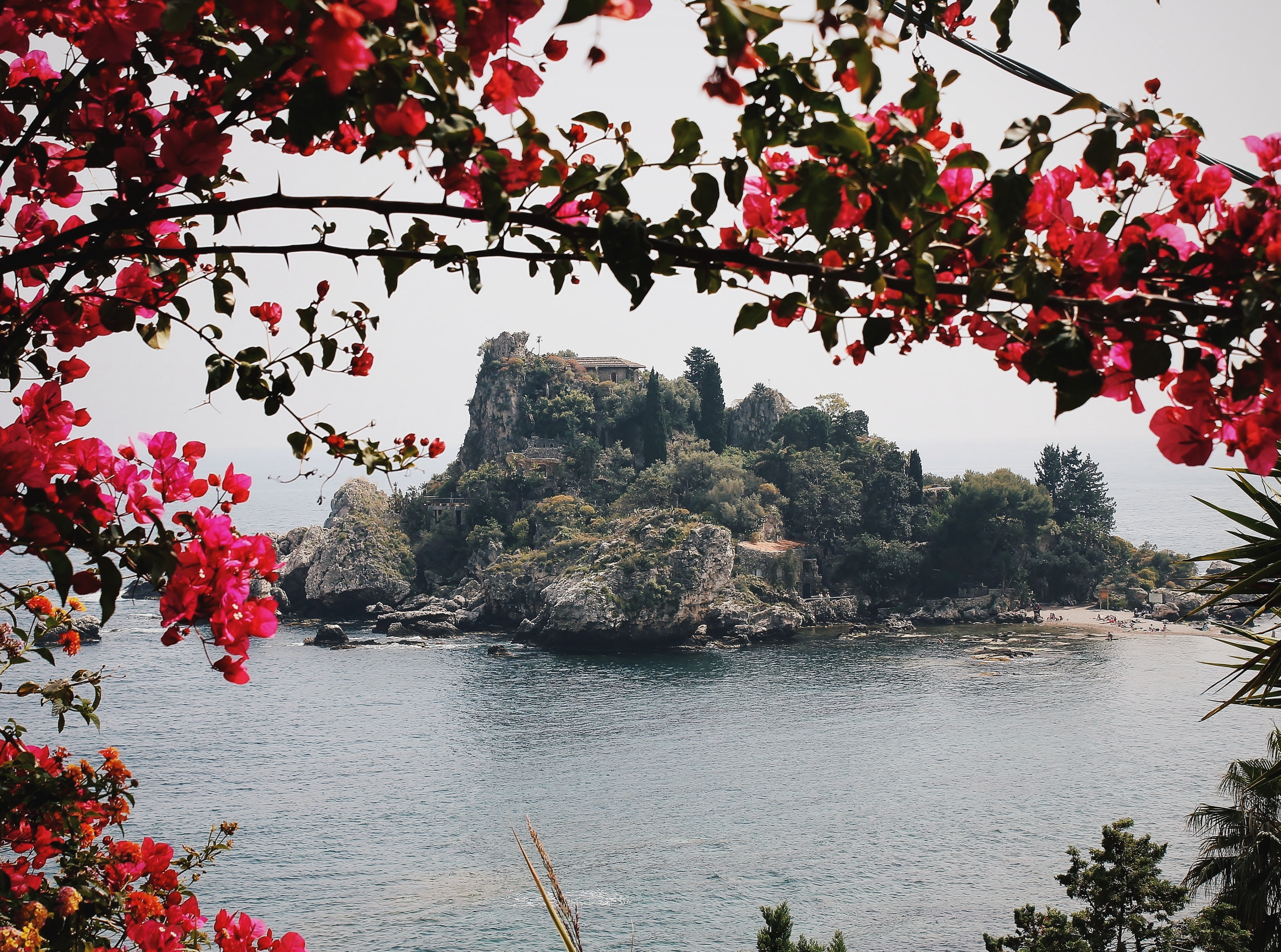 cherry blossom, italy, island, taormina, falling, springtime, sicily, river, day, flower, 4K, seaside, blossom, tranquility, outdoors, clear sky, sea, HD Wallpaper