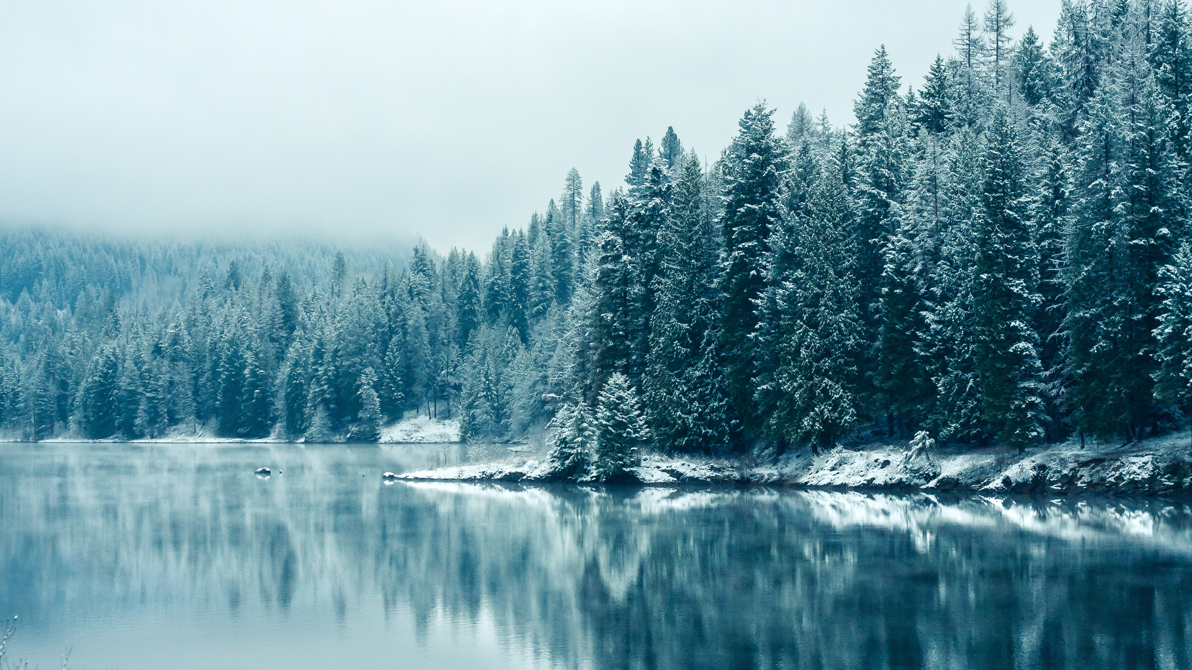 cold temperature, scenics - nature, 4K, waterfront, k, non-urban scene, Kootenay, River, outdoors, tree, winter, beauty in nature, forest, pine tree, lake, HD Wallpaper
