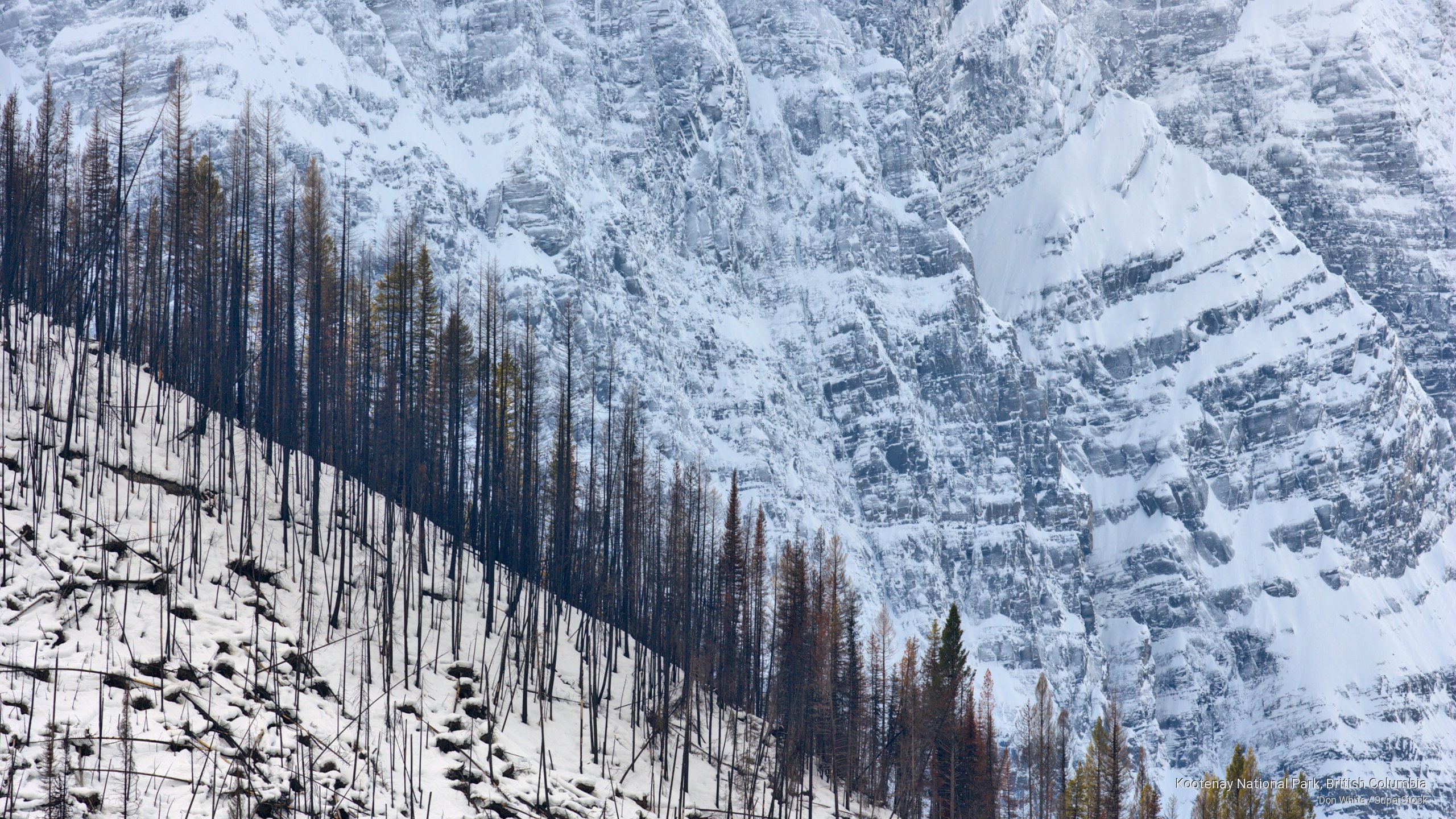 kootenay, national, british, National Parks, 2K, columbia, park, HD Wallpaper