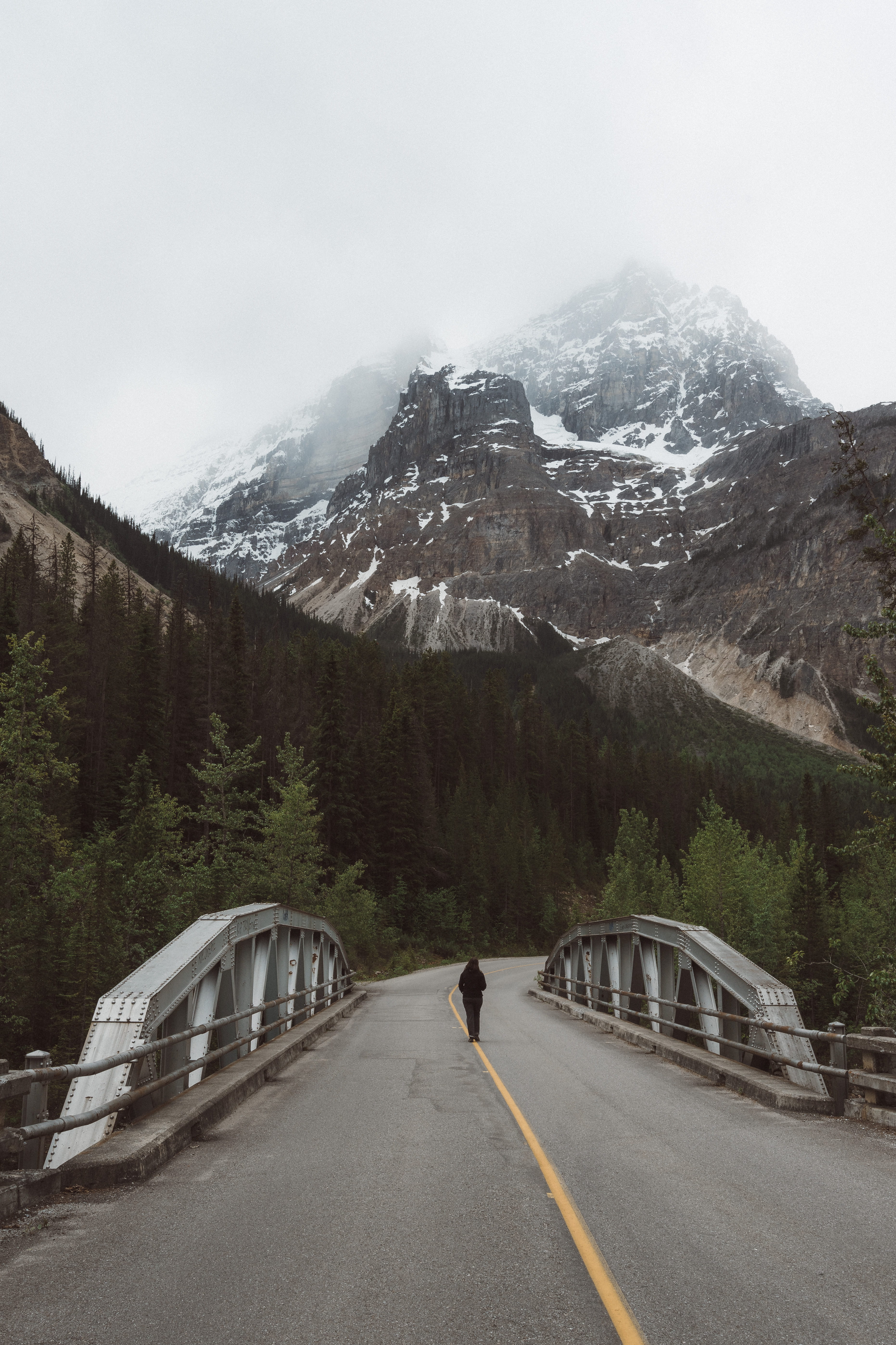 winter, mountain range, travel, outdoors, road trip, adventure, tree, one person, direction, the way forward, peaks, trip, kootenai, formation, snowcapped mountain, Phone HD Wallpaper