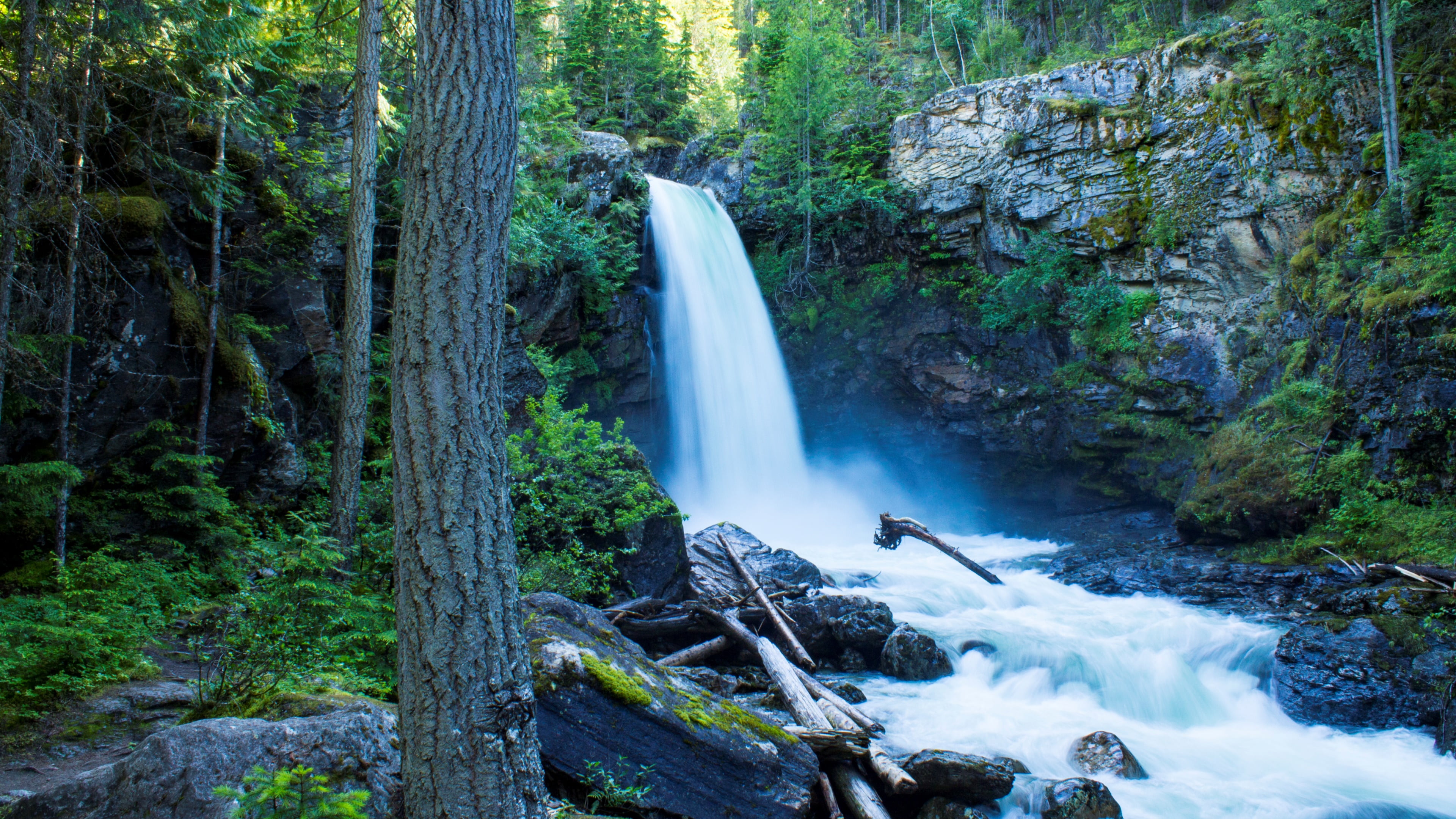 creek, falling water, power, bc, land, revelstoke, blurred motion, solid, plant, rock, scenics - nature, sutherland, waterfall, flowing water, day, tree, HD Wallpaper