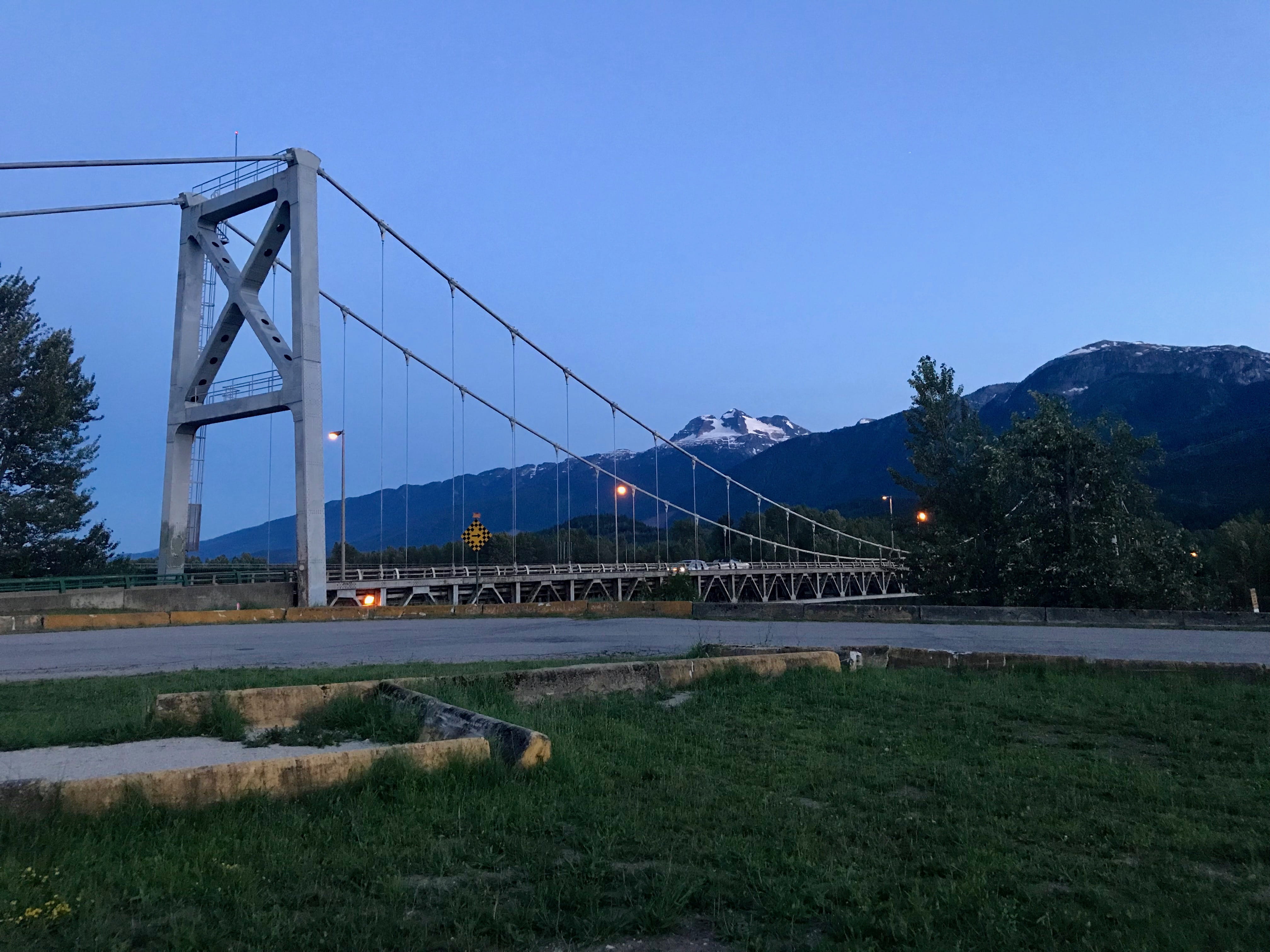 blackbird, connection, nature, building, agelaius, sky, no people, transportation, urban, suspension bridge, outdoors, city, grass, animal, day, british columbia, HD Wallpaper