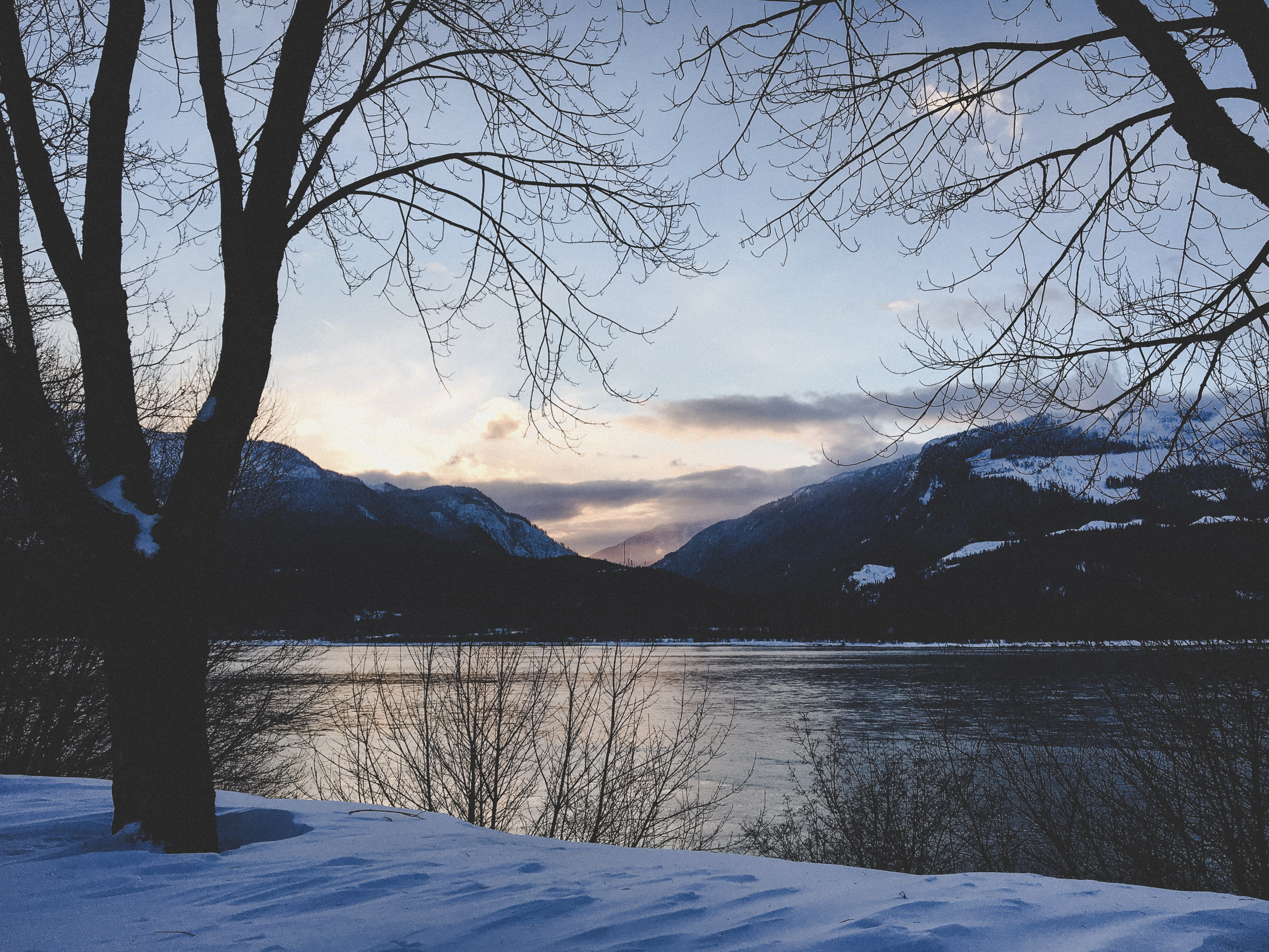 tree, outdoors, 106 6 st w, canada, revelstoke, mountain, tranquil scene, tranquility, plant, nature, mountain range, water, cold temperature, sky, bare tree, HD Wallpaper