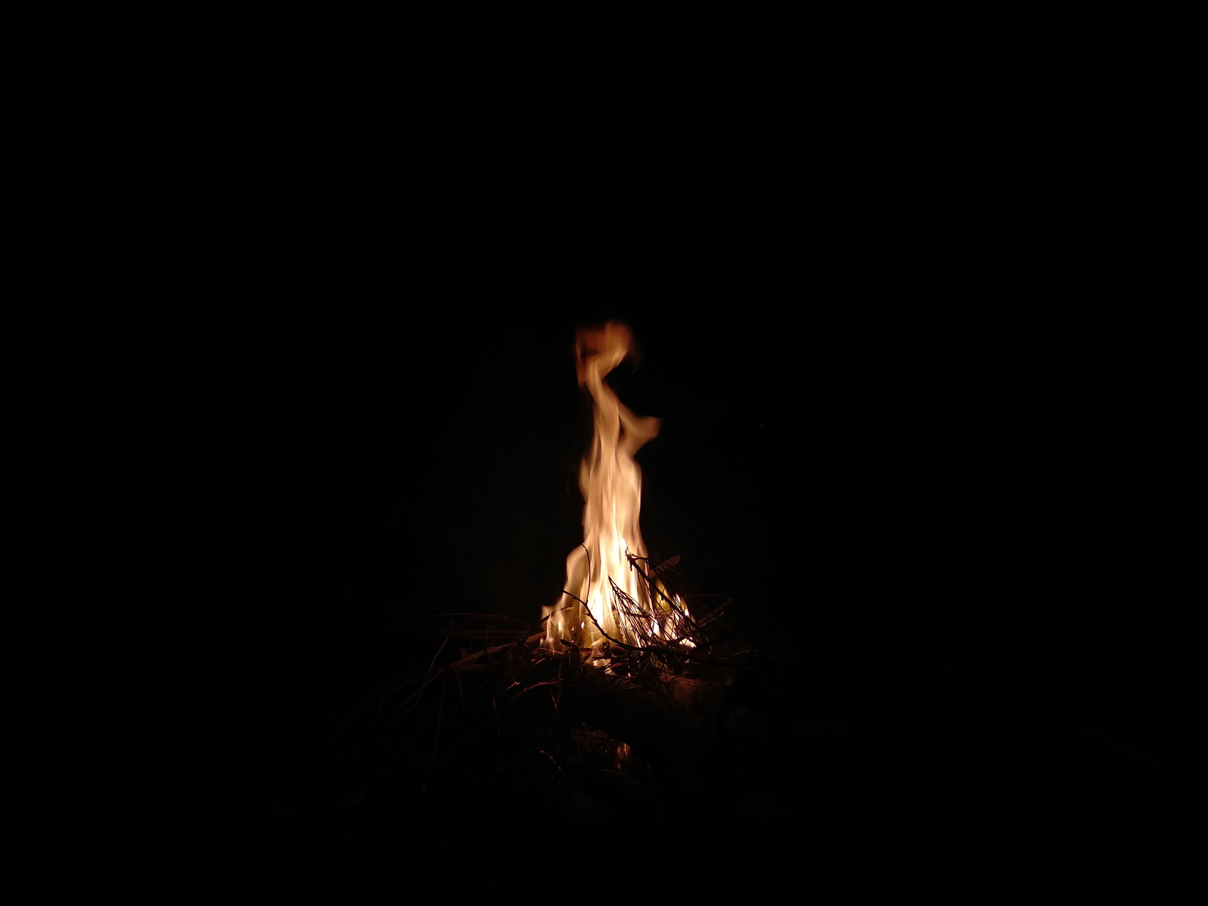 bonfire, no people, sinai, black, copy space, dark, egypt, night, fire - natural phenomenon, flame, spark, 4K, firewood, black background, fire, studio shot, HD Wallpaper