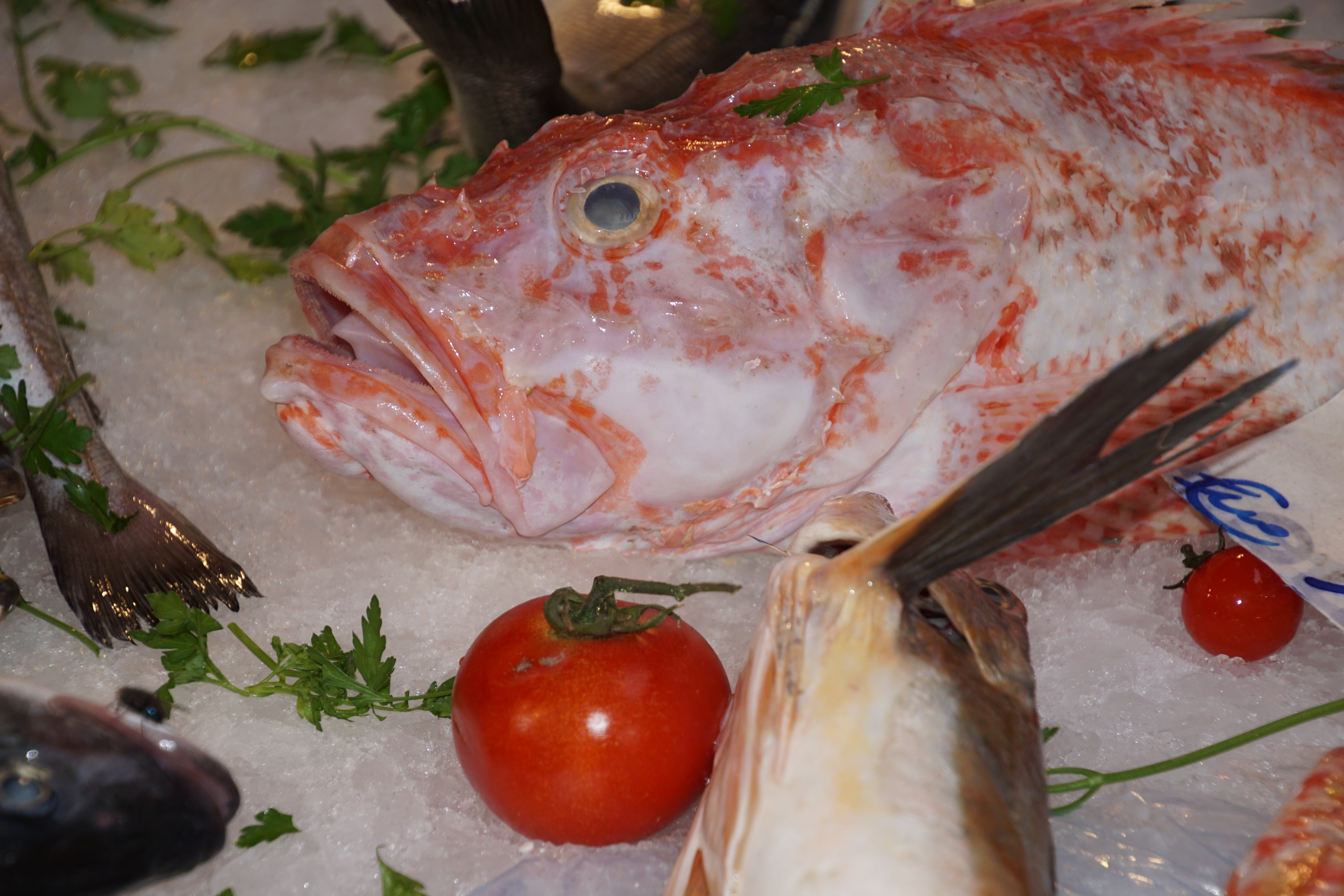 eat, freshness, red, herb, food and drink, ready-to-eat, wellbeing, fish, animal, delicious, frisch, sea, fruit, indoors, 5K, bazar, palermo, table, display, HD Wallpaper