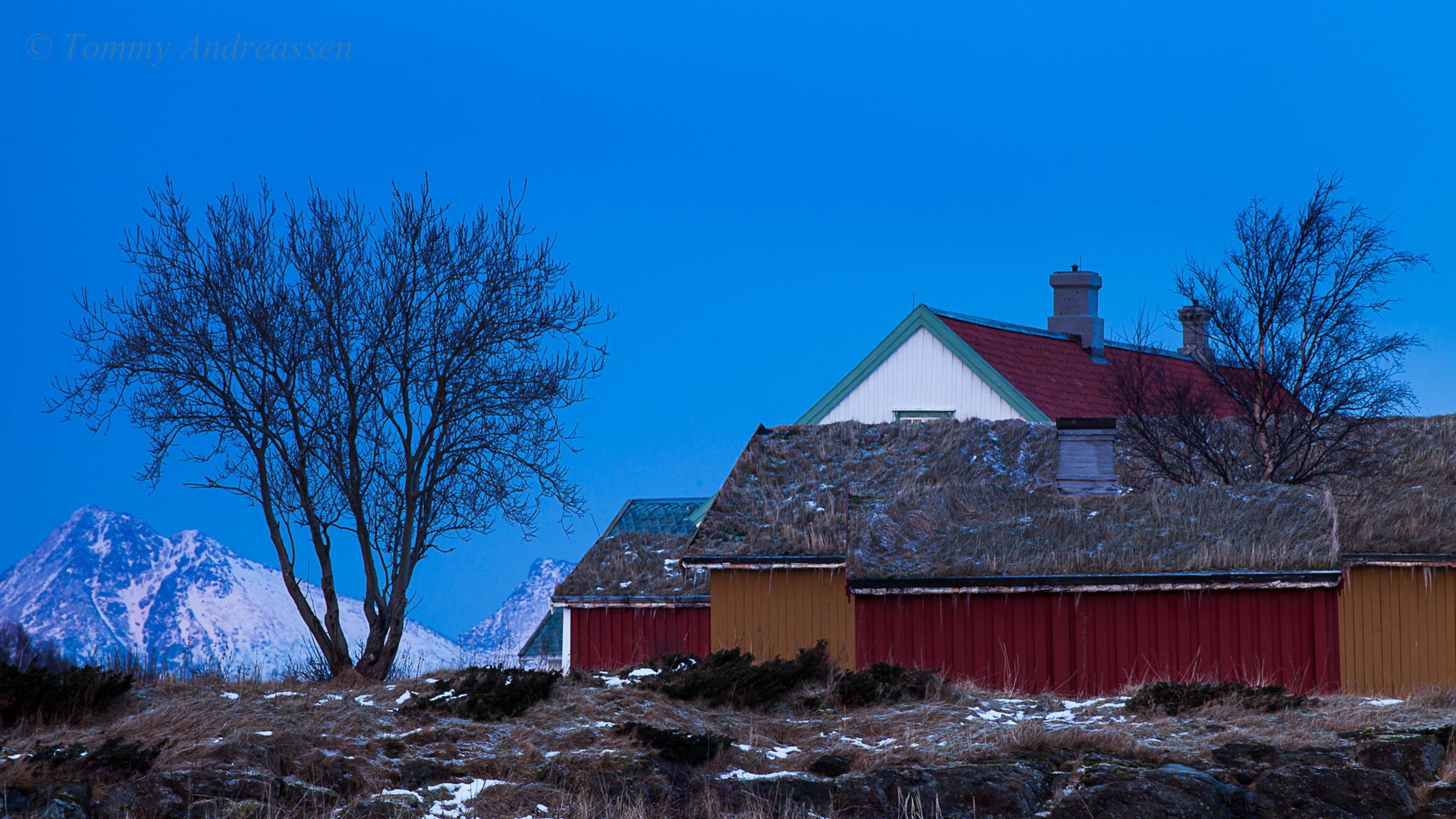 kjerringøy, winter, built structure, cottage, mountain, snow, scenic, north-norway, norway, arctic, snow white, scenics - nature, travel, landscape, house, HD Wallpaper