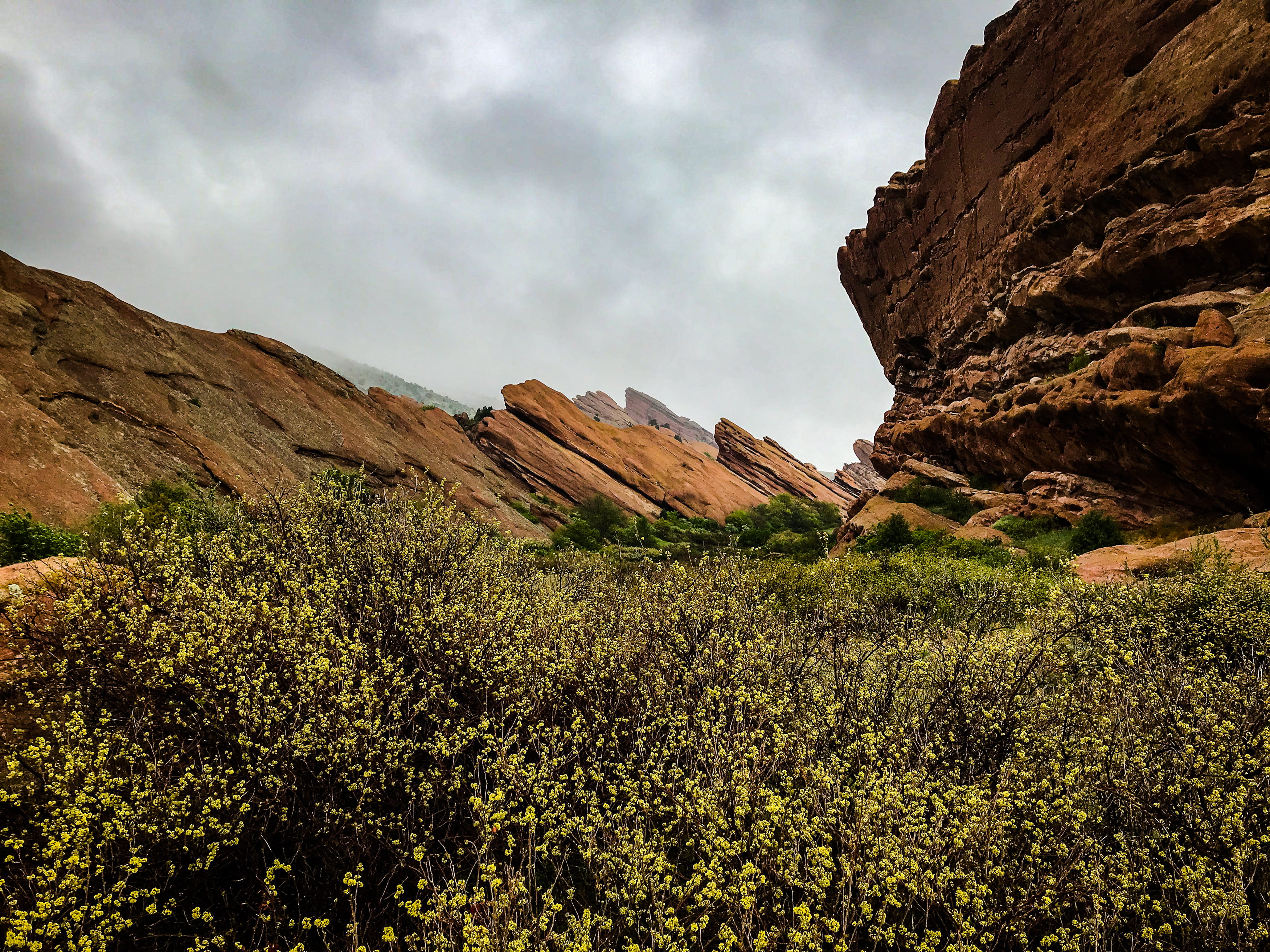 environment, solid, golden, rock, plant, day, sky, rock - object, tranquil scene, nature, outdoors, tranquility, trading post trail, beauty in nature, 2K, HD Wallpaper