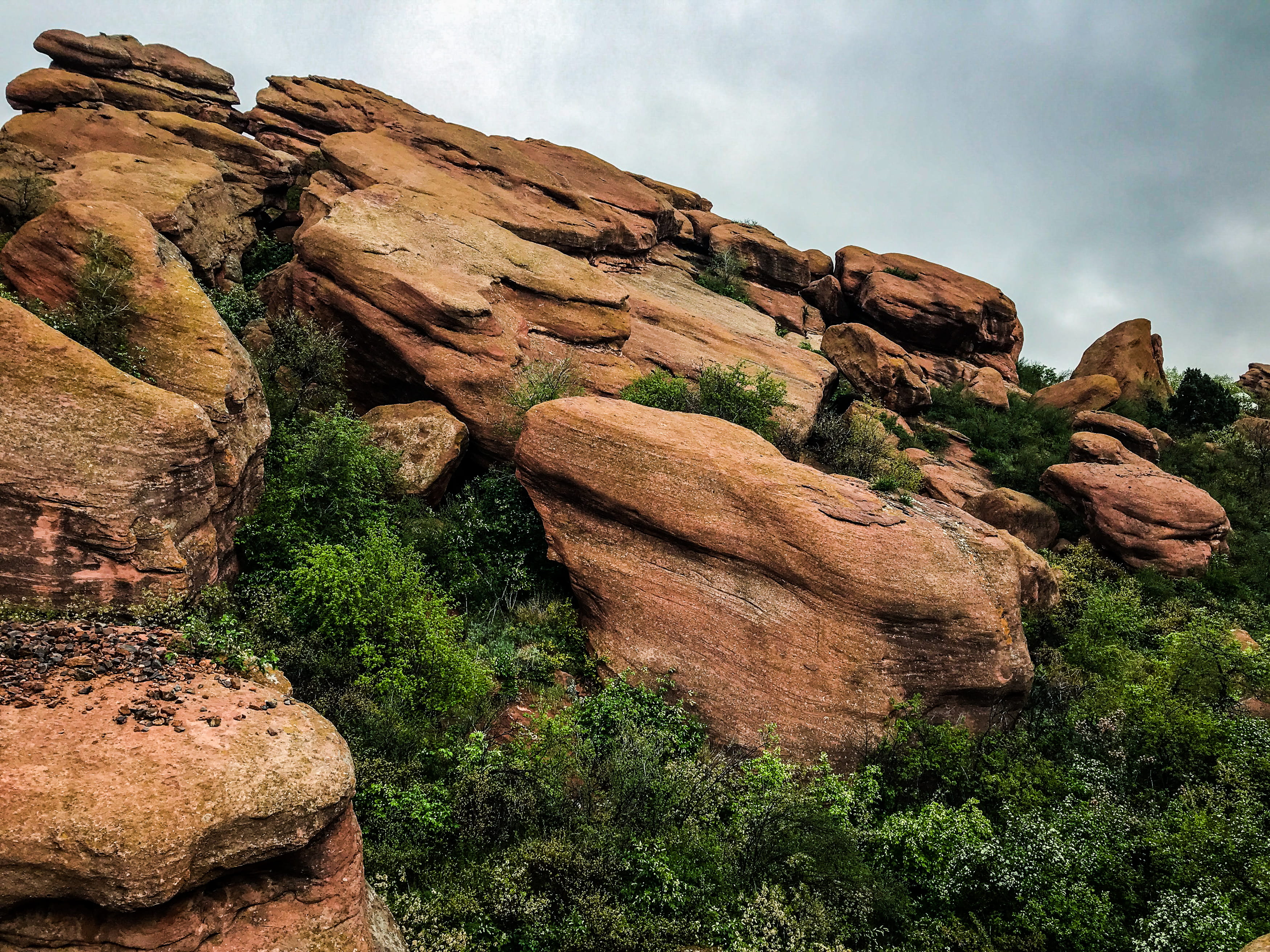 plant, physical geography, rock formation, eroded, non-urban scene, rock, day, tranquil scene, scenics - nature, outdoors, sky, geology, no people, golden, HD Wallpaper