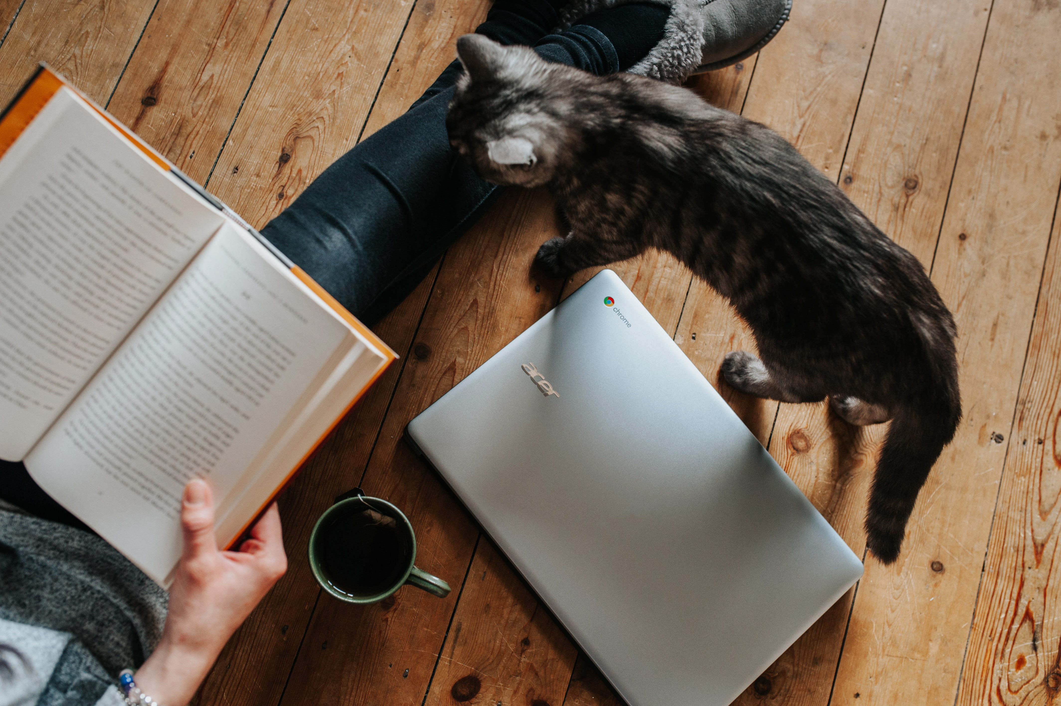 book, one person, tabby, brown, table, real people, silver, cup, acer, relax, standing, human body part, hand, coffee, lying, white, one animal, high angle view, HD Wallpaper