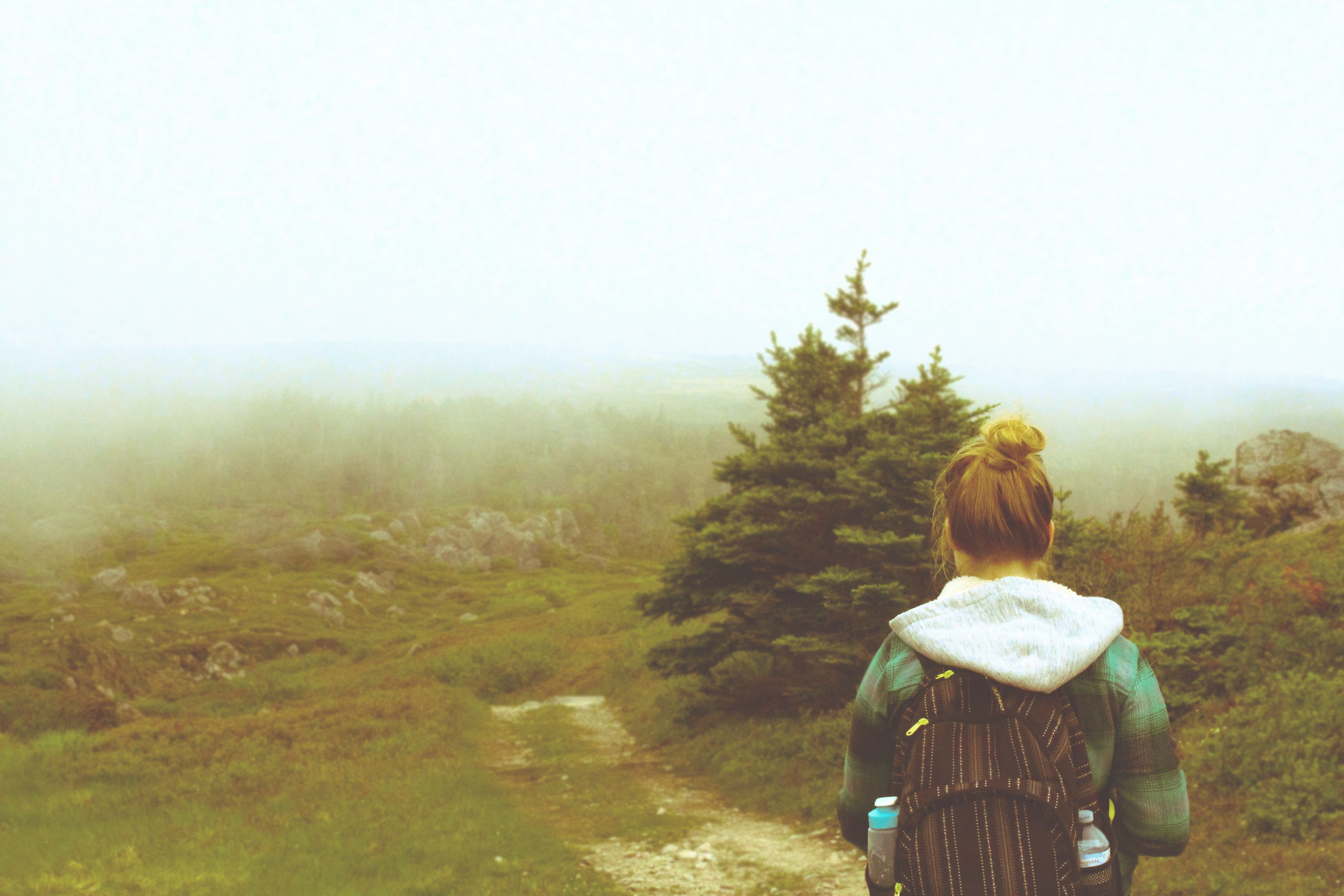 mist, women, nature, backpacks, 5K, trees, mountains, HD Wallpaper