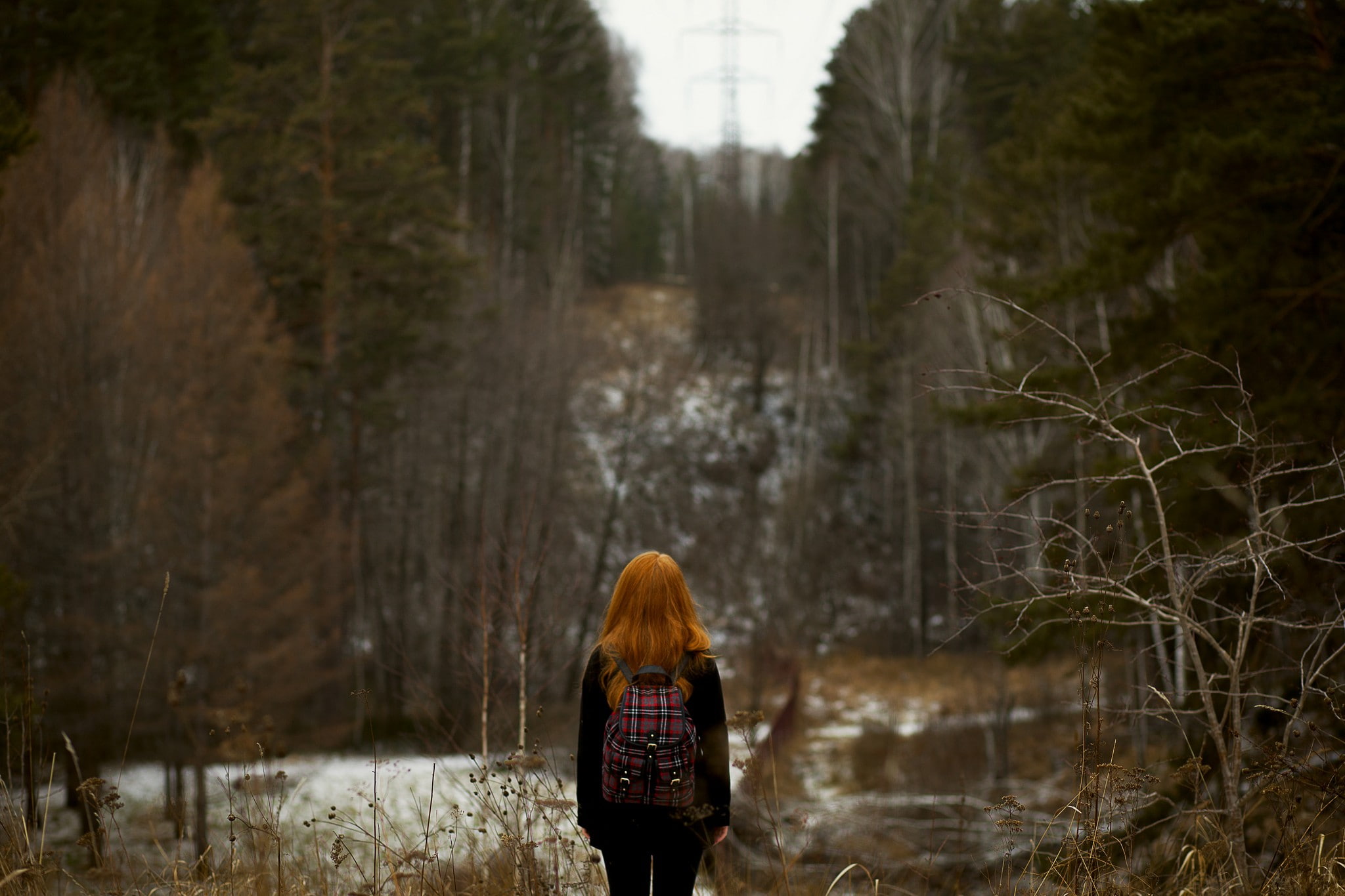 lifestyles, one person, warm clothing, focus on foreground, winter, rear view, plant, long hair, back, land, redhead, hair, women, backpacks, women outdoors, HD Wallpaper