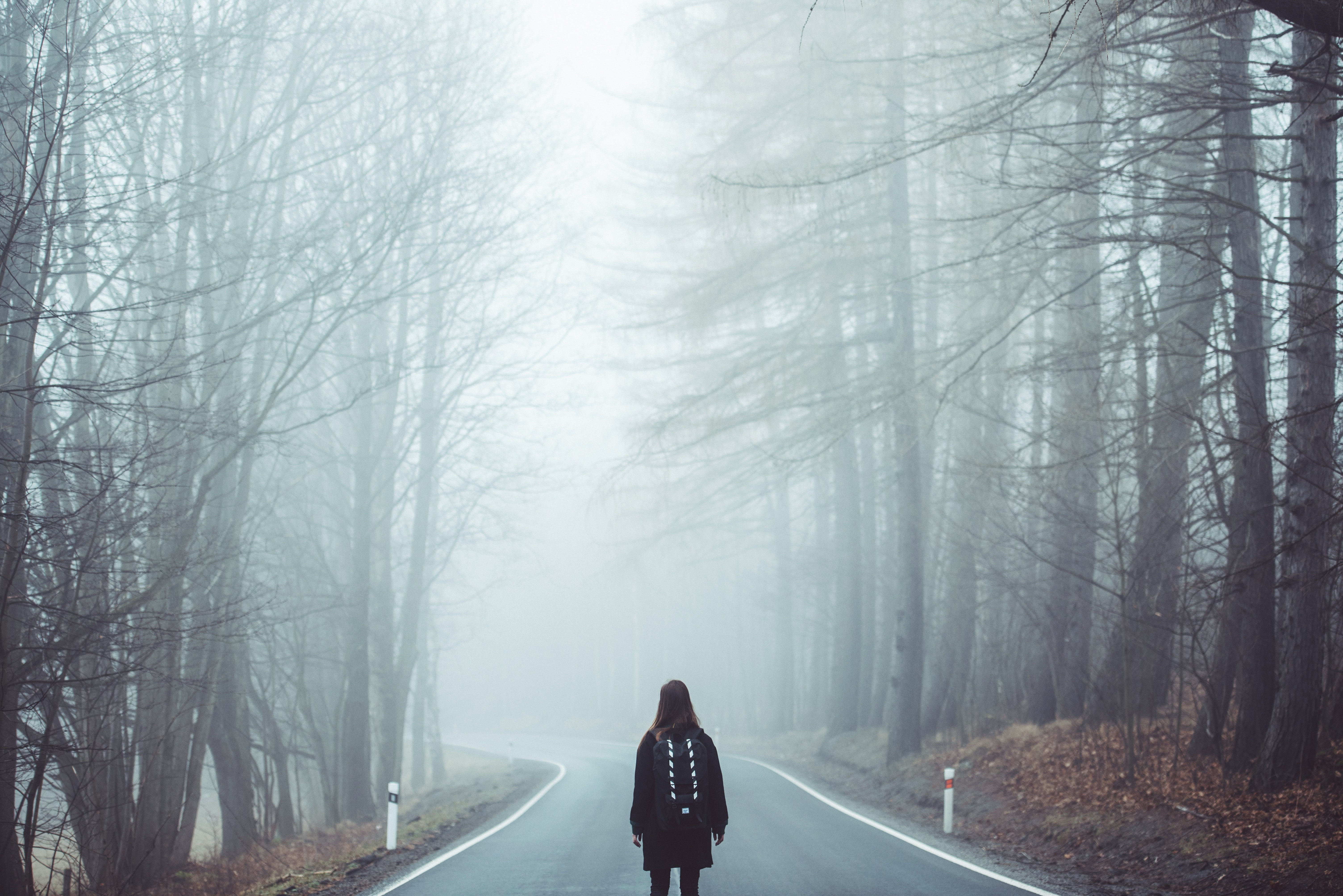 backpacks, street, wood, road, women, 5K, women outdoors, trees, HD Wallpaper