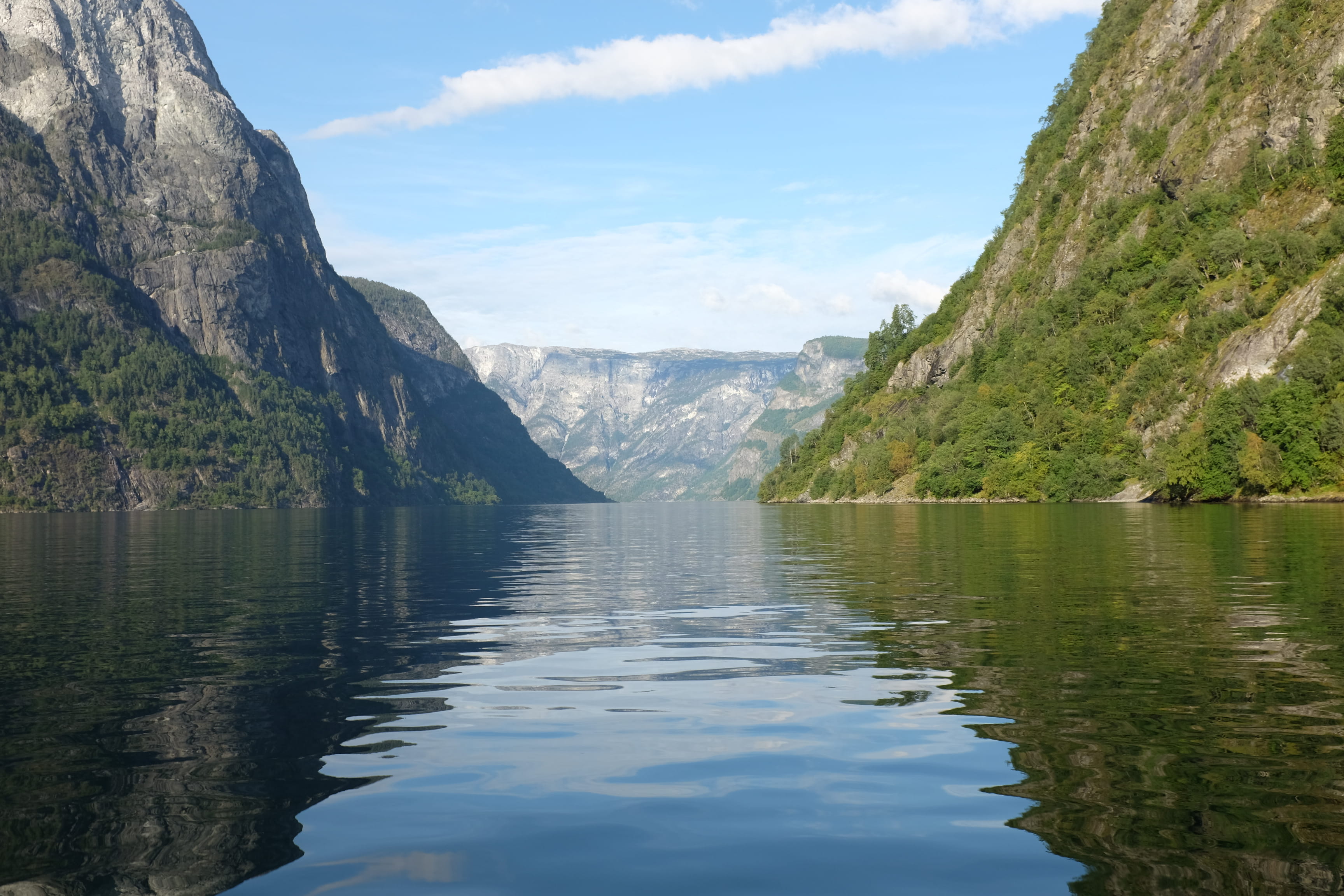 mountain, idyllic, plant, reflection, norway, symmetry, outdoors, tranquil scene, aurland municipality, mountain range, beauty in nature, 2K, scenics - nature, HD Wallpaper