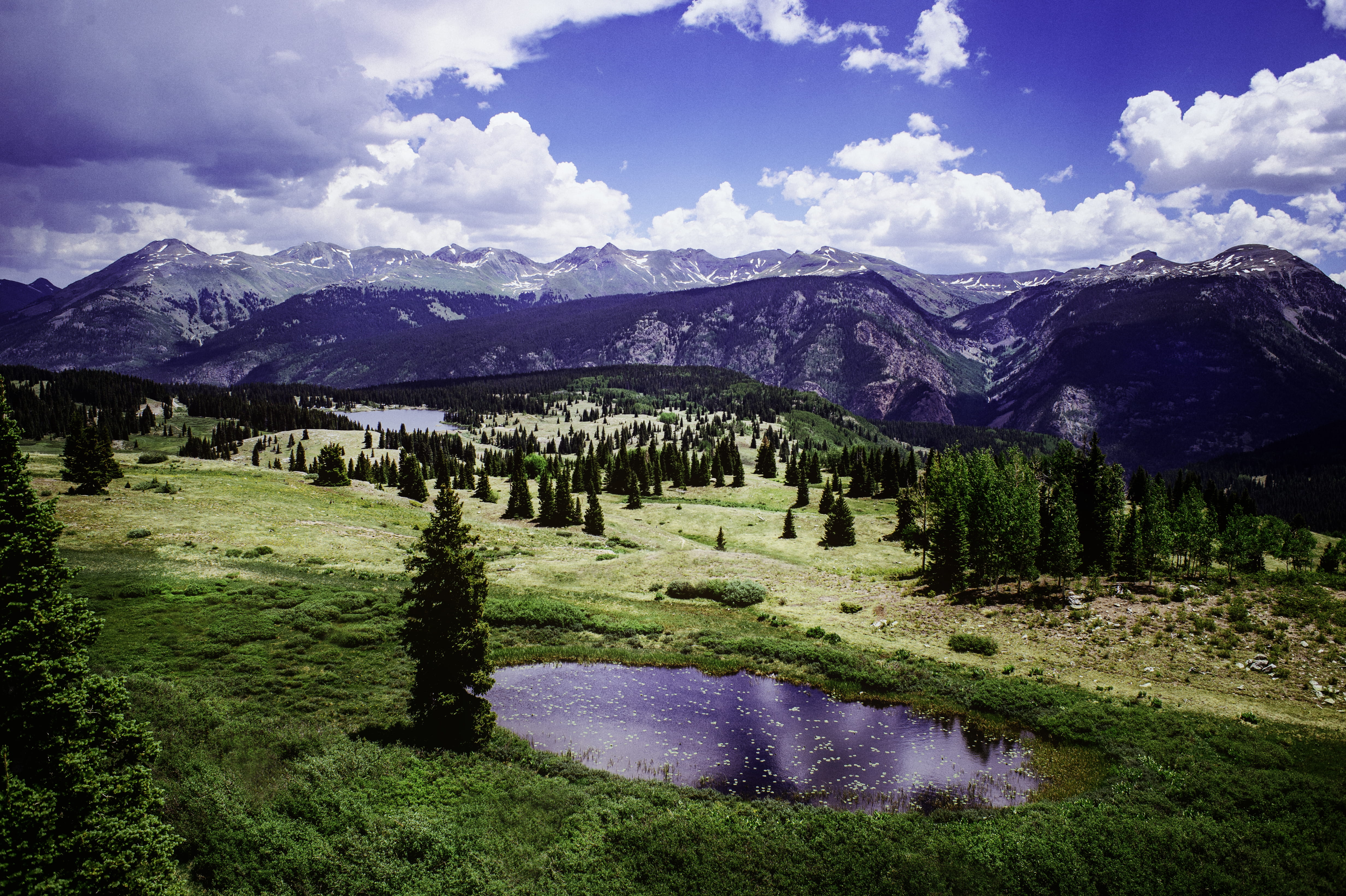 united states, trees, vegetation, grassland, snow, nature, alps, tree, non-urban scene, flora, snowcapped mountain, 4K, puddle, environment, cloud - sky, HD Wallpaper