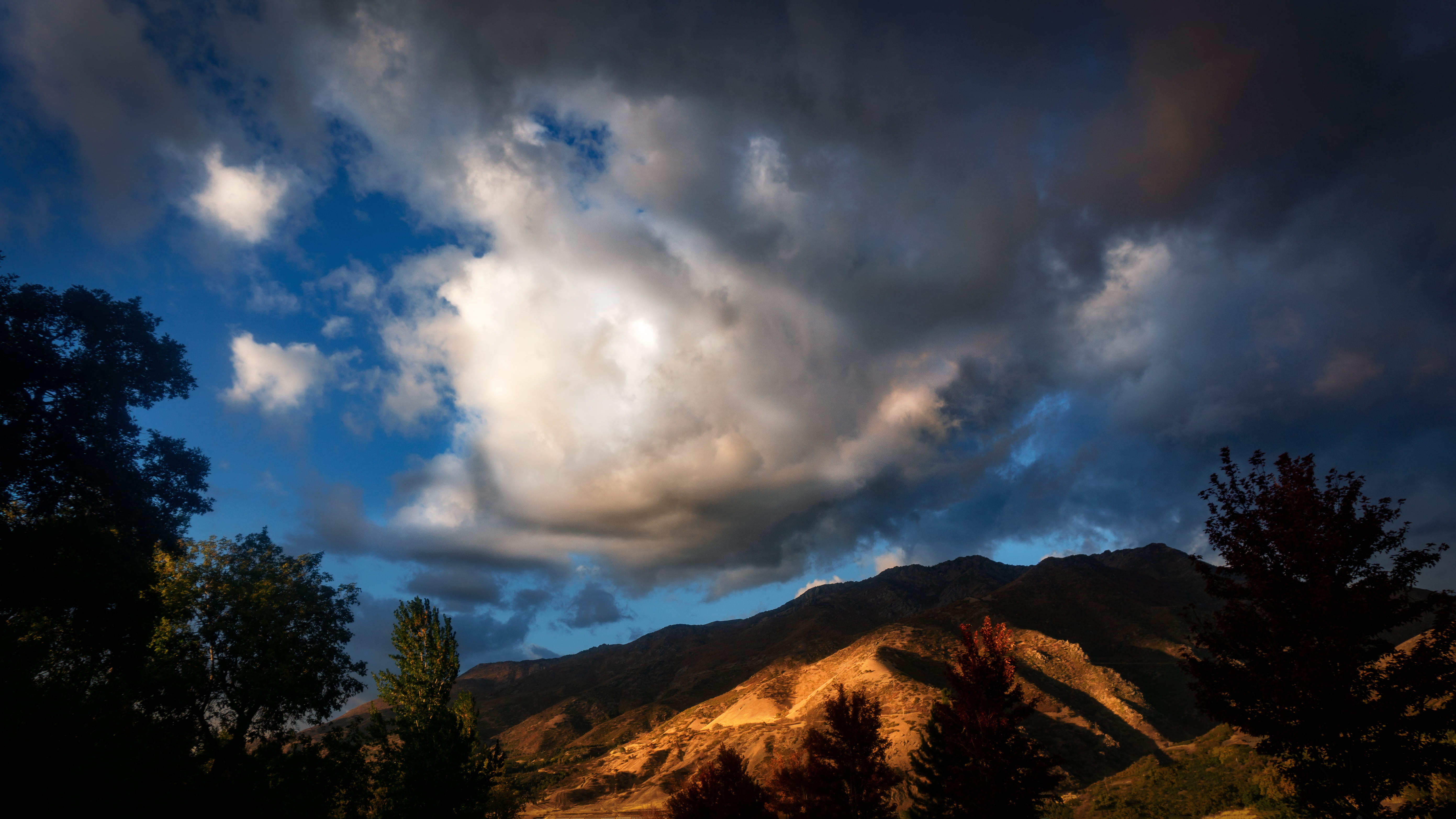 scenery, tree, mountain range, storm, plateau, landscape, scenics - nature, cloud - sky, day, plant, peak, fir, wilderness, nature, beauty in nature, tranquility, HD Wallpaper
