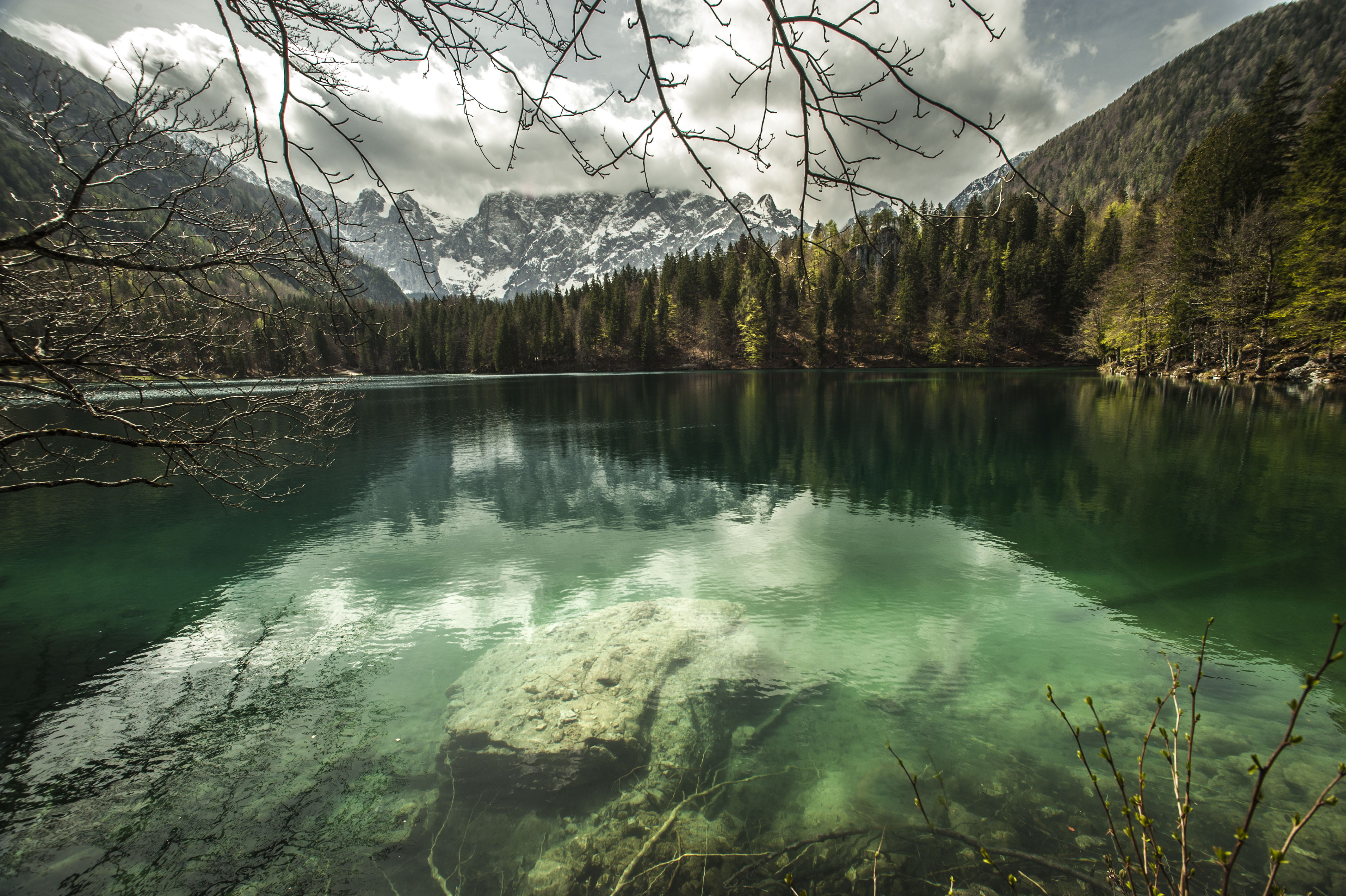 mountain, spruce, tranquil scene, land, cloud - sky, trees, mountain range, plant, water, conifer, nature, no people, sky, 4K, fir, reflection, waterfront, HD Wallpaper