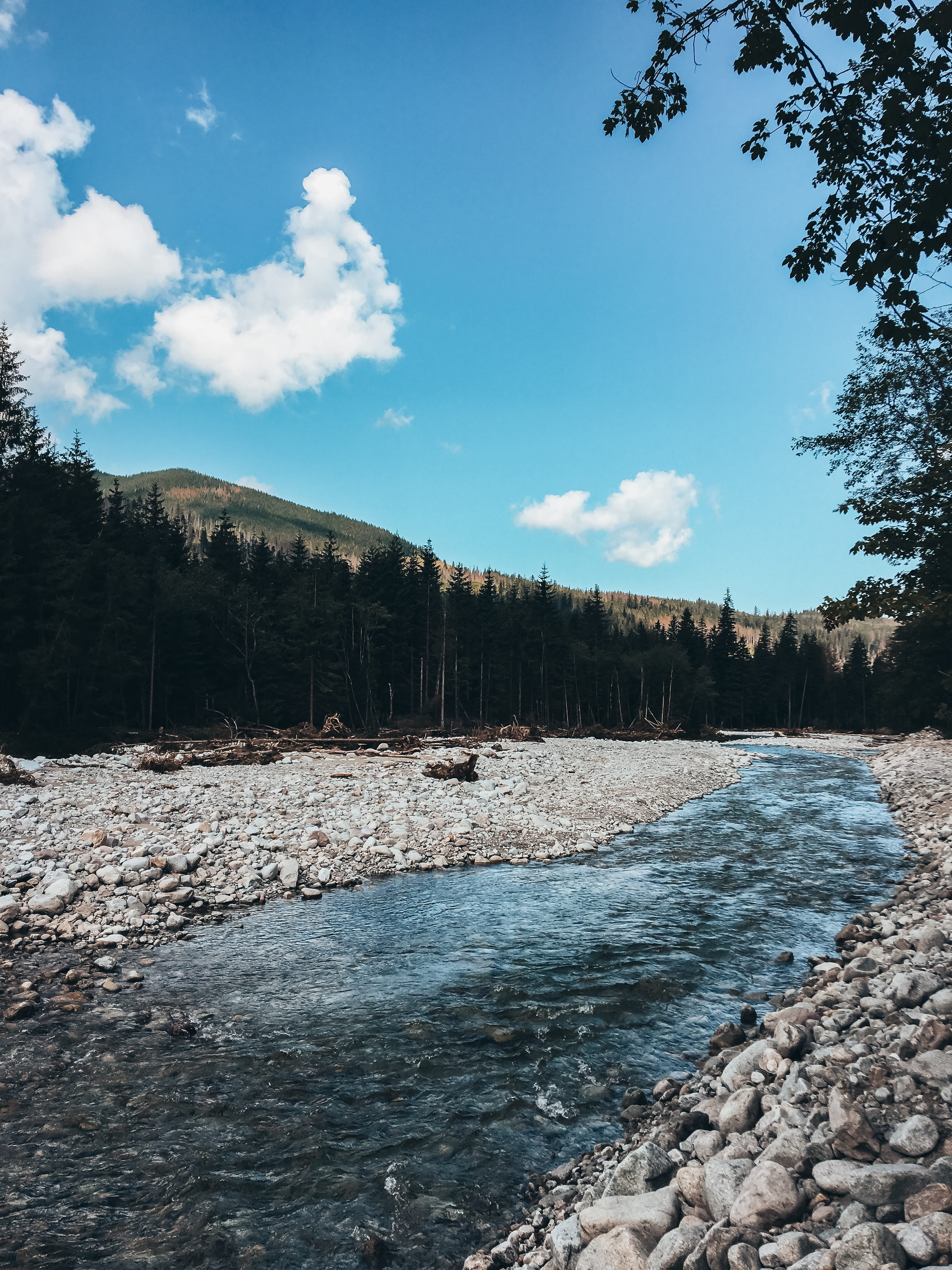 non-urban scene, plant, creek, sky, nature, rock, cloud - sky, fir, stream, conifer, tranquility, basin, land, scenics - nature, rubble, road, ground, lake, Phone HD Wallpaper