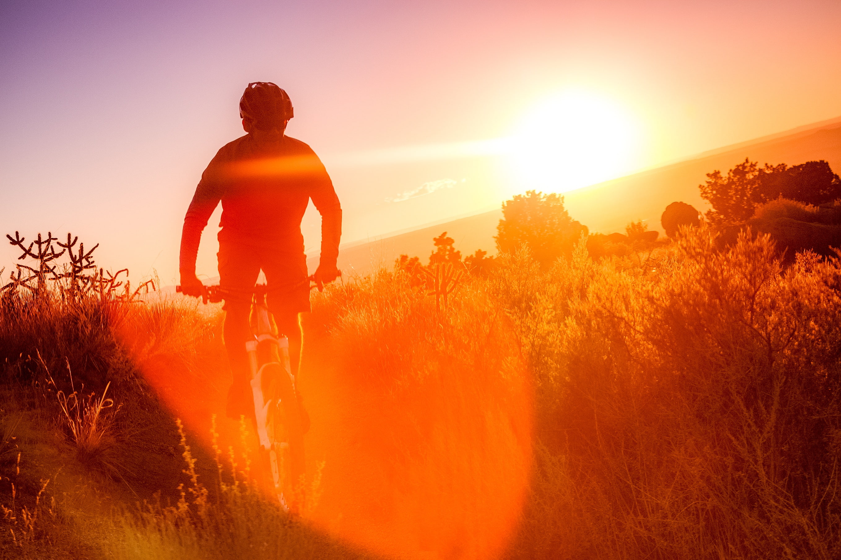 athlete, nature, 2K, cyclist, morning, Sandia mountains bike, HD Wallpaper