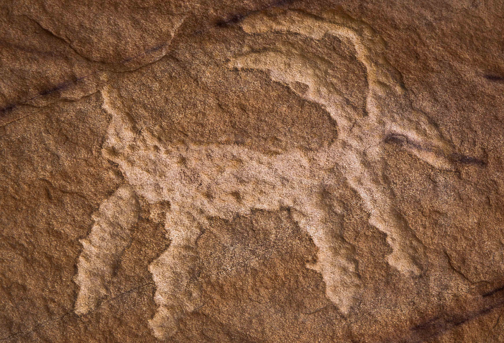 petroglyphs, stone, 1080P, Nevada, antiquity, HD Wallpaper