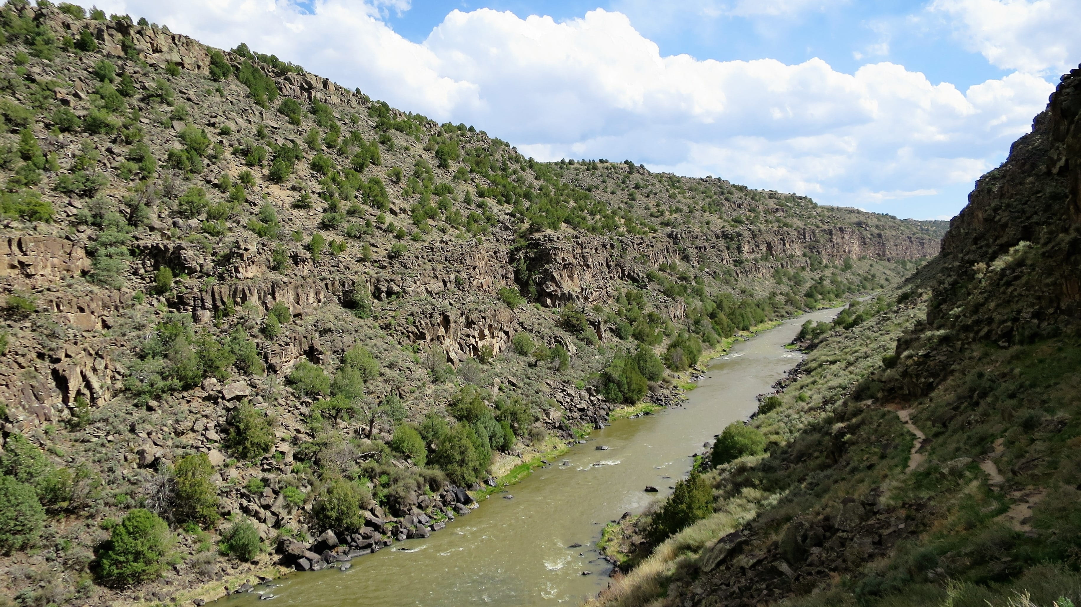 rio, grande, green color, beauty in nature, outdoors, no people, direction, sky, tree, tranquil scene, river, gorge, mountain, day, transportation, rio grande, HD Wallpaper