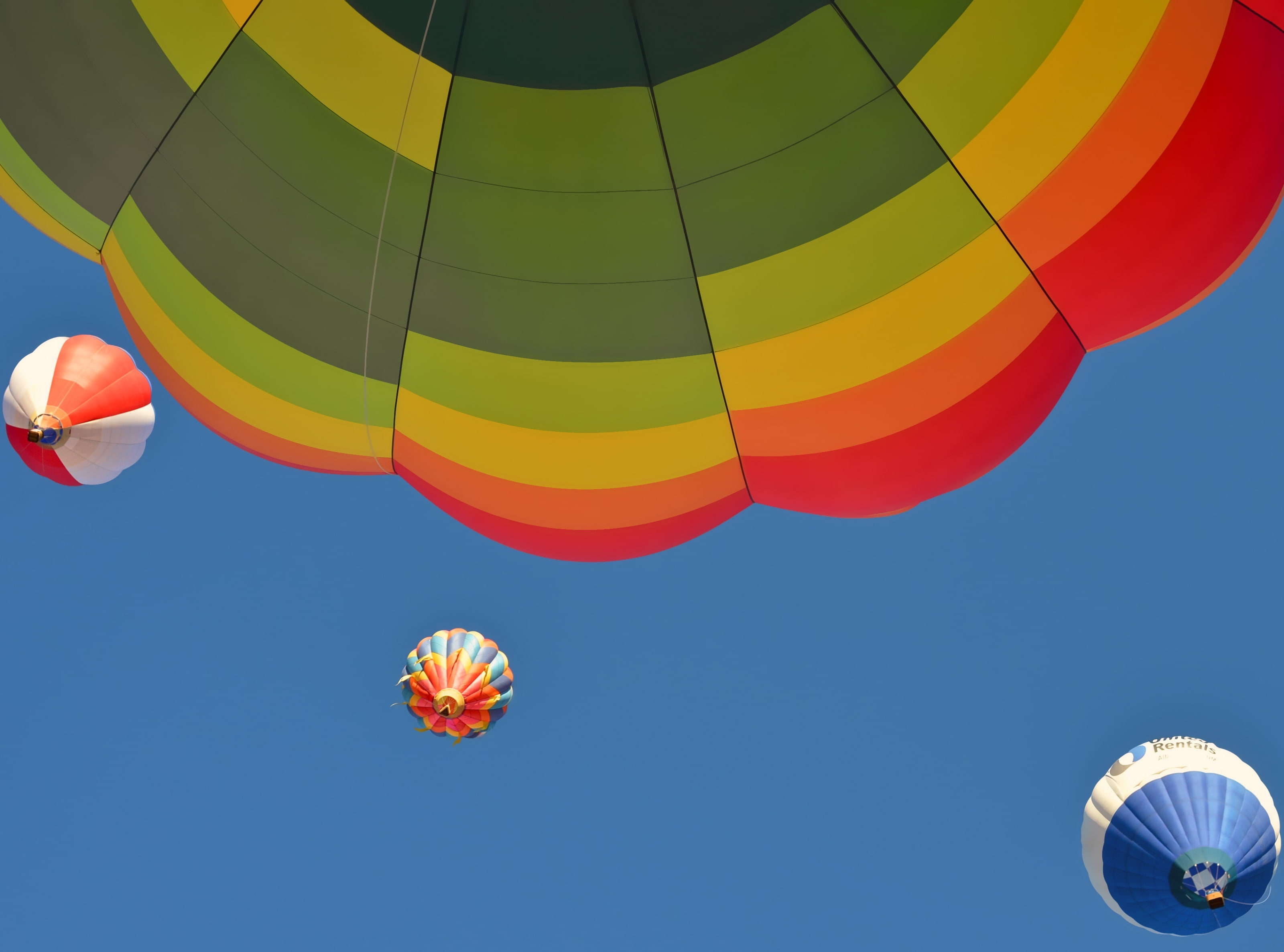 fiesta, blue, no people, taking off, hot air balloon, adventure, moving up, air vehicle, international, 2K, albuquerqueinternationalballoonfiesta, inflating, HD Wallpaper