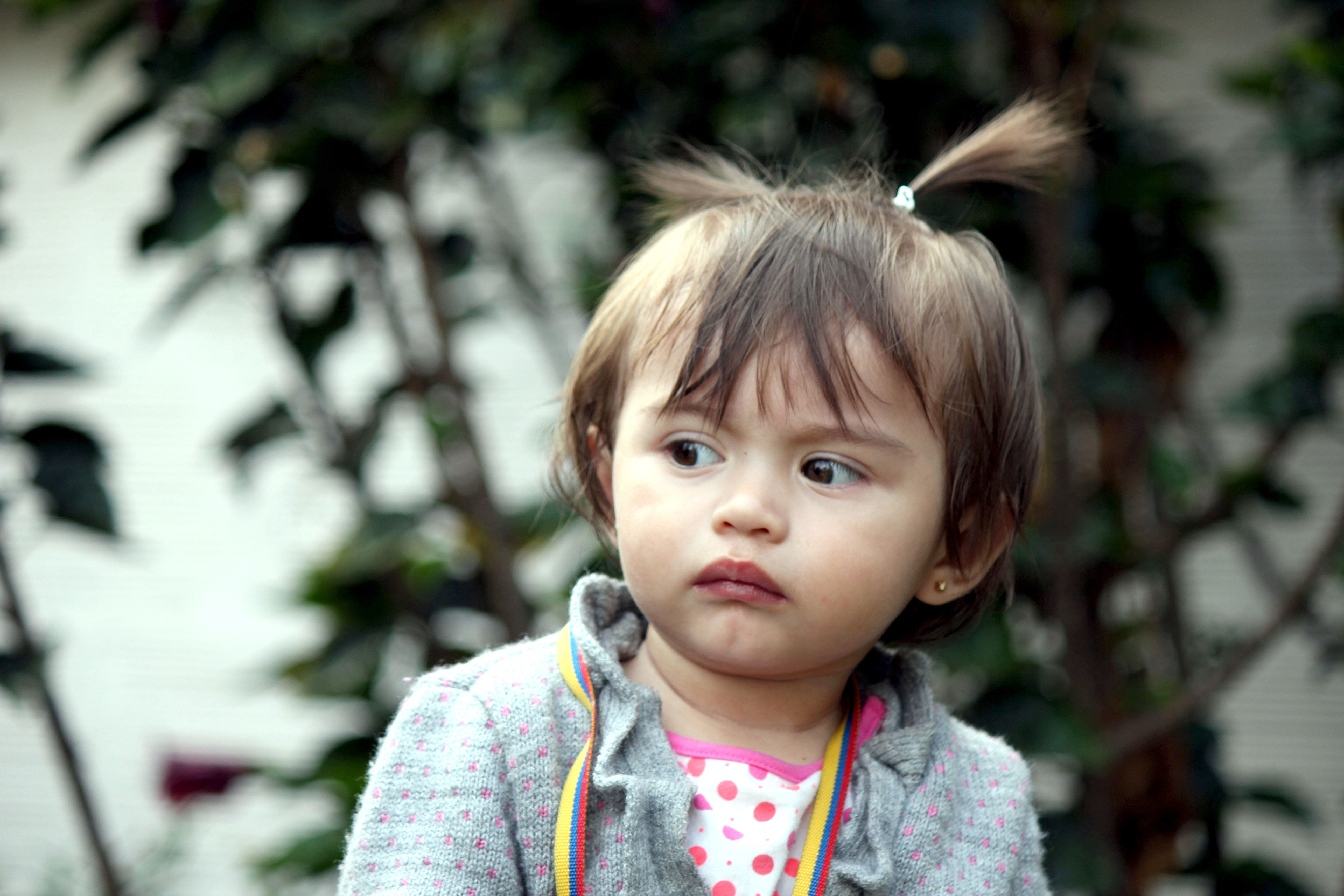baby, females, close-up, contemplation, tender, front view, focus on foreground, human Face, looking at camera, headshot, one Person, outdoors, childhood, HD Wallpaper