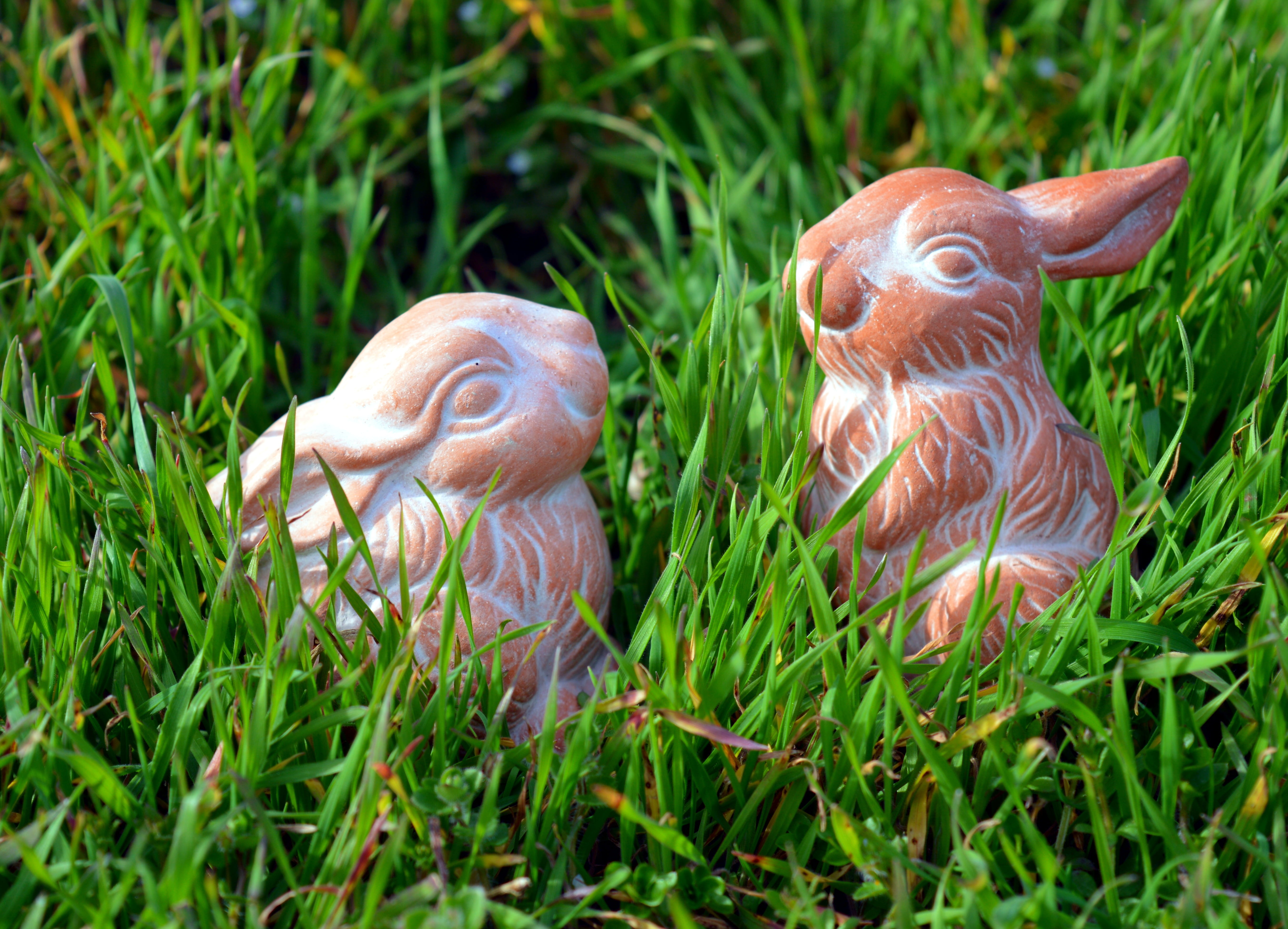 one animal, funny, nature, outdoors, floppy ear, festival, field, hare, decoration, figure, land, animal representation, two, easter bunny, easter, 5K, HD Wallpaper