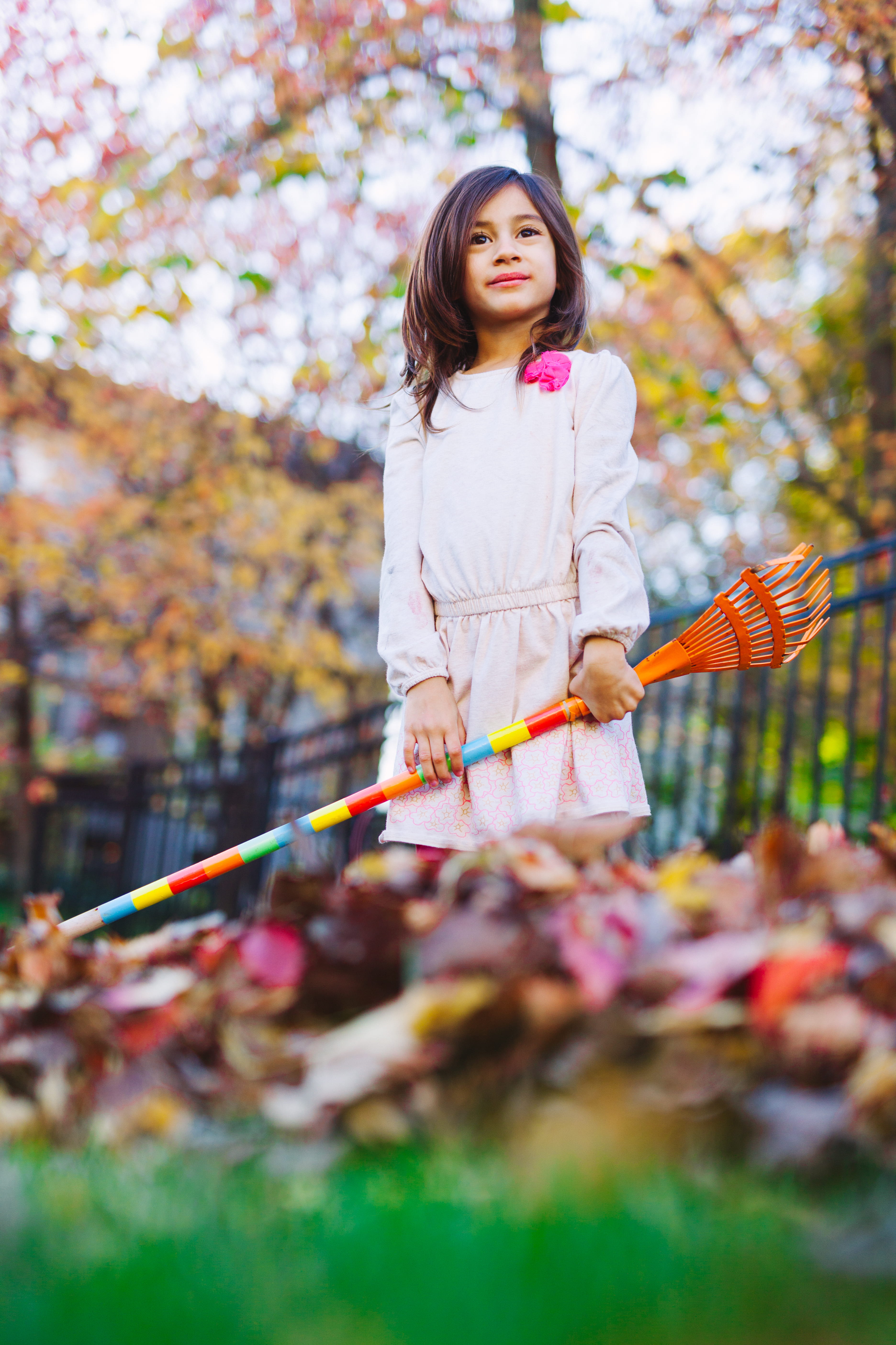 lifestyles, rake, women, innocence, dress, selective focus, shift, holding, asian, girls, tree, brown, hairstyle, wooden, tilt, casual clothing, female, Phone HD Wallpaper