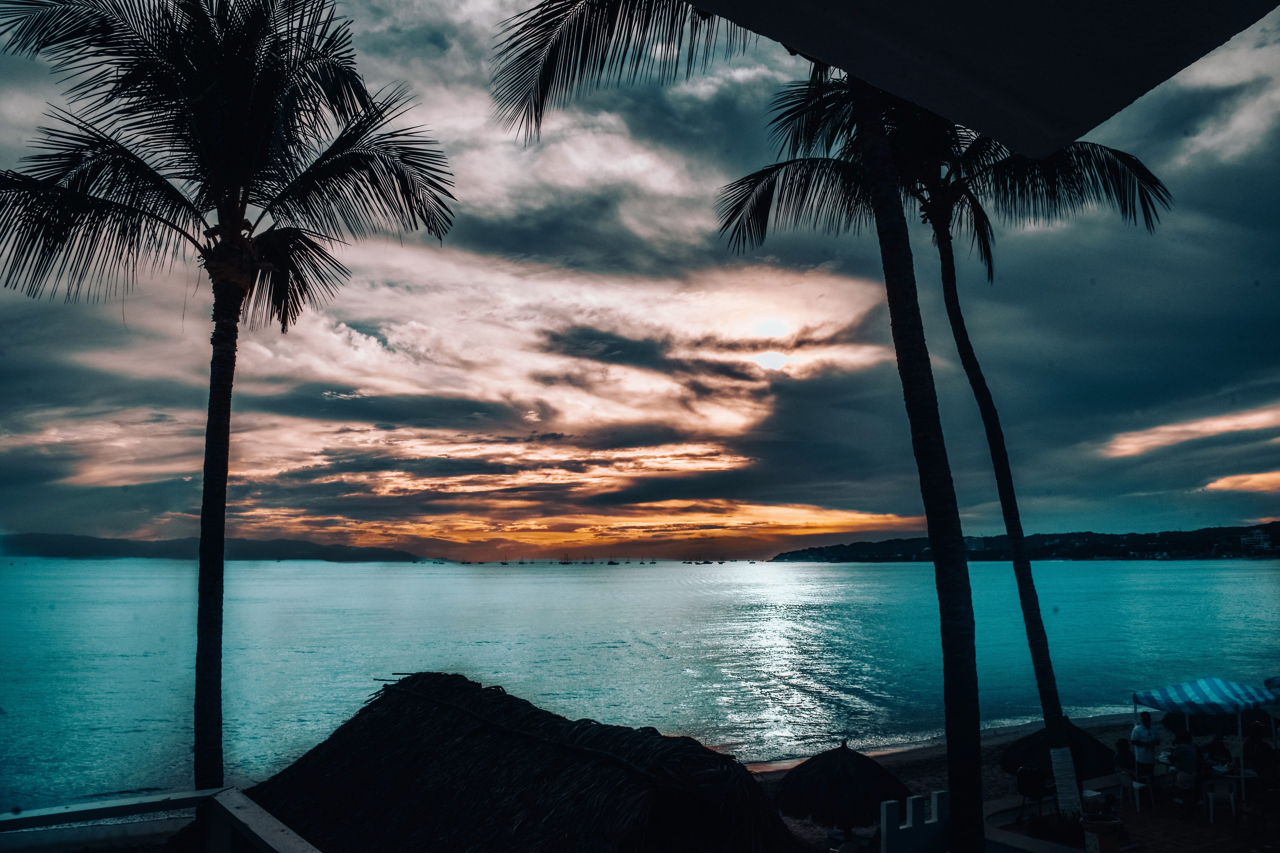 silhouette, outdoors, cloud - sky, coconut palm tree, palm tree, pozos blancos 5, beauty in nature, mexico, 4K, sky, idyllic, sea, nature, tranquil scene, HD Wallpaper