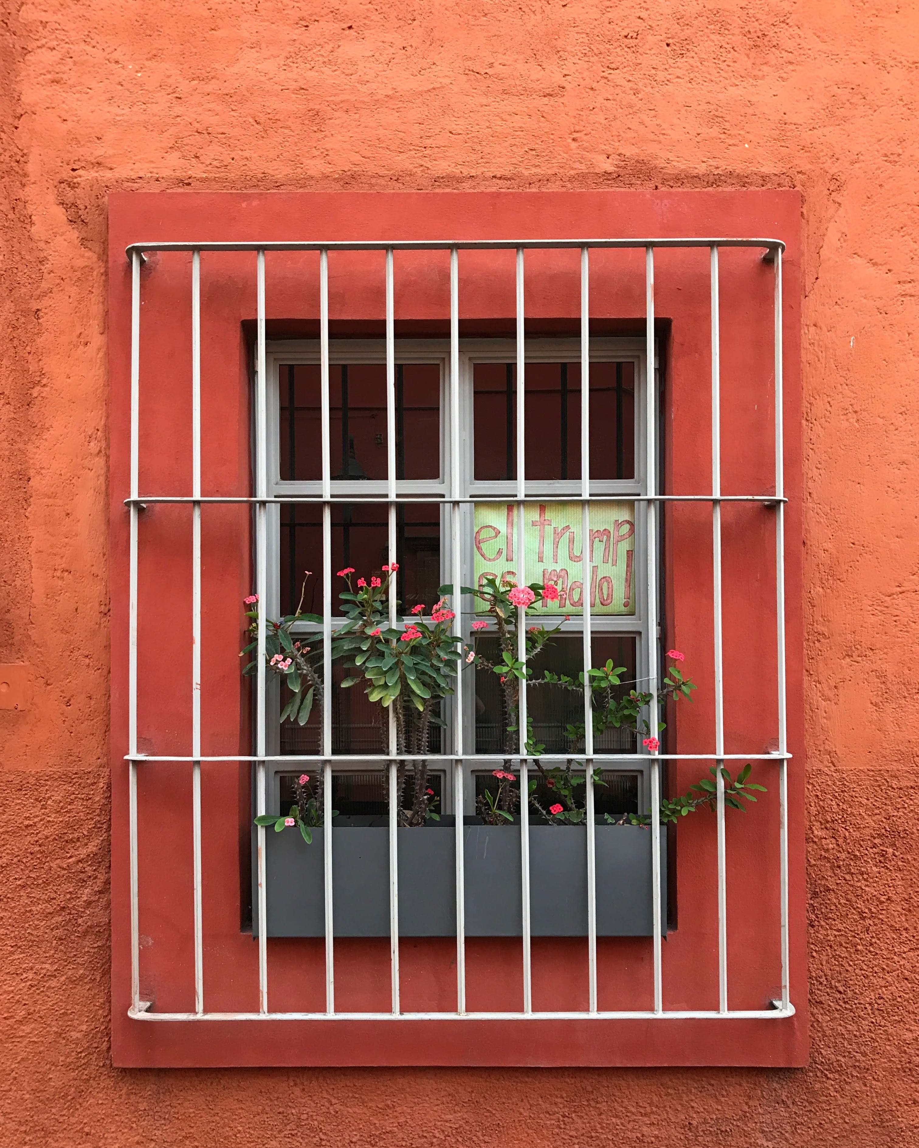 nature, window, potted plant, window frame, flower pot, architecture, trump, built structure, red, no people, wall, window box, guanajuato, day, building, Phone HD Wallpaper