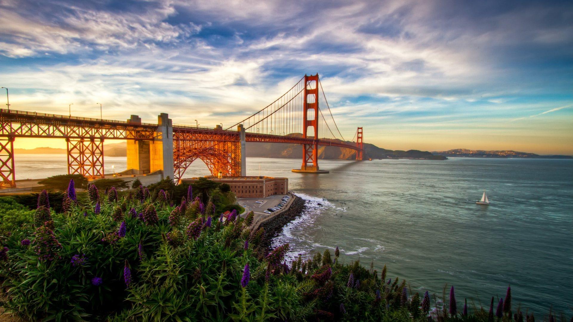 flowers, beauty, nature, speechless, bridge, animals, 1080P, scenery, photography, HD Wallpaper