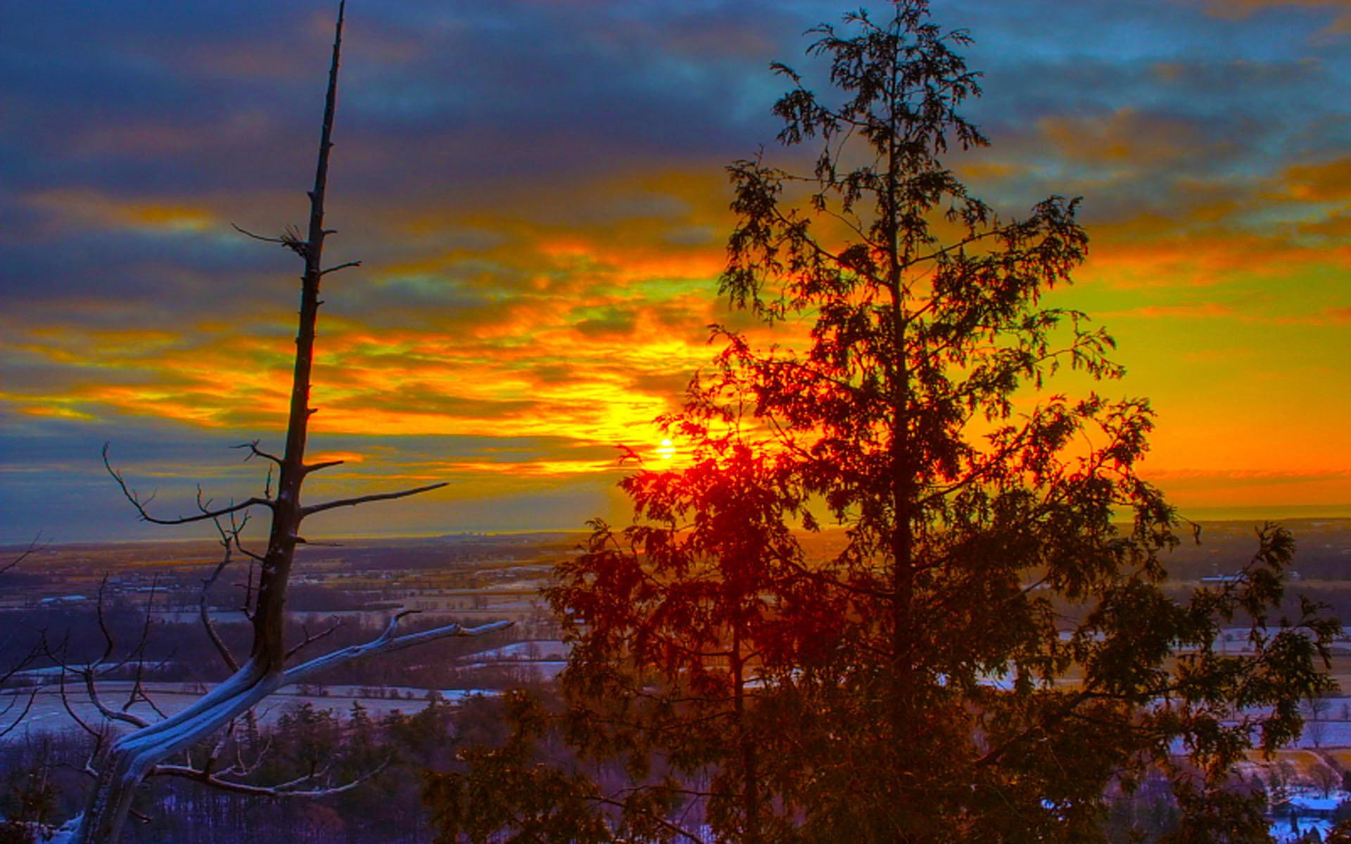 land, fields, tree, sunset, 1080P, 3d and abstract, speechless, HD Wallpaper