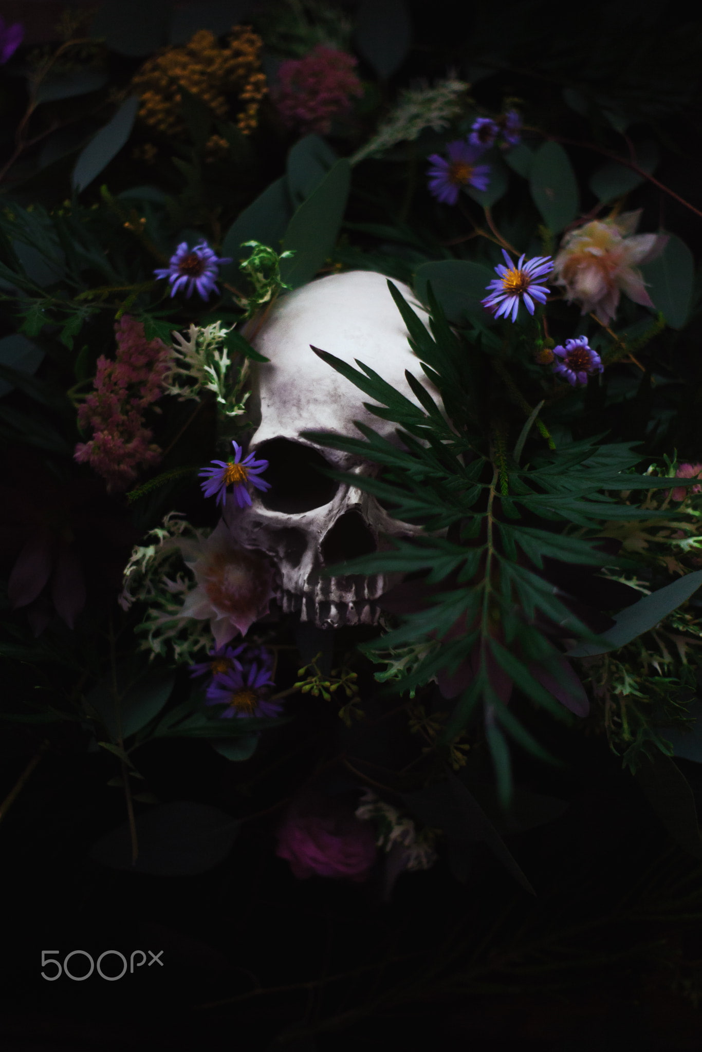 skull, plants, flowers, Artem Phoenix, 1080P, 500px, Phone HD Wallpaper