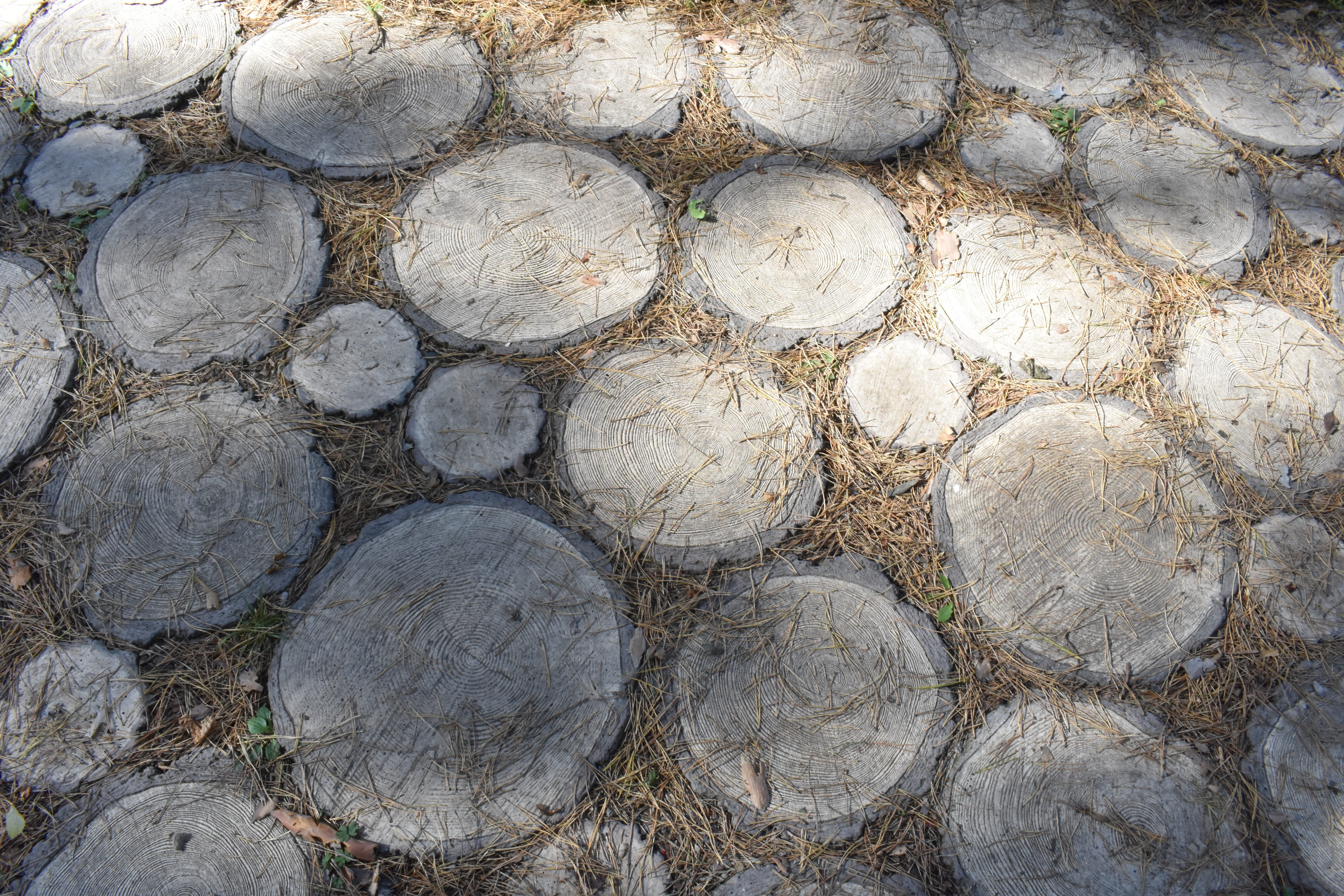 backgrounds, textured, novosibirsk, texture, geometric shape, deforestation, forest, track, pattern, circle, paved, full frame, 5K, slice, large group of objects, HD Wallpaper