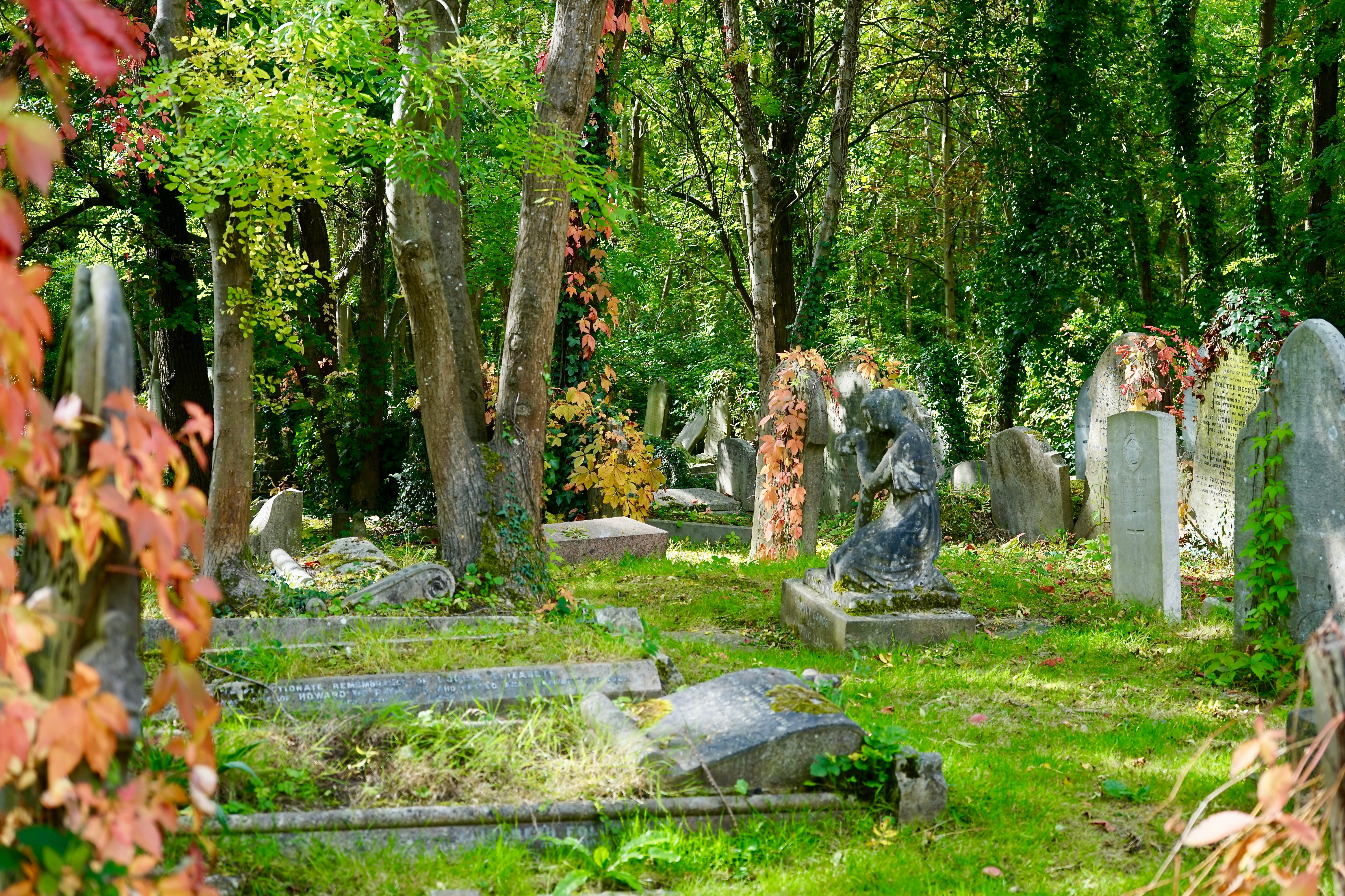 art and craft, peace, old, day, historic, gravestone, headstone, remains, grave, tomb, tree, outdoor, outdoors, natural, human, plant, death, nature, history, HD Wallpaper