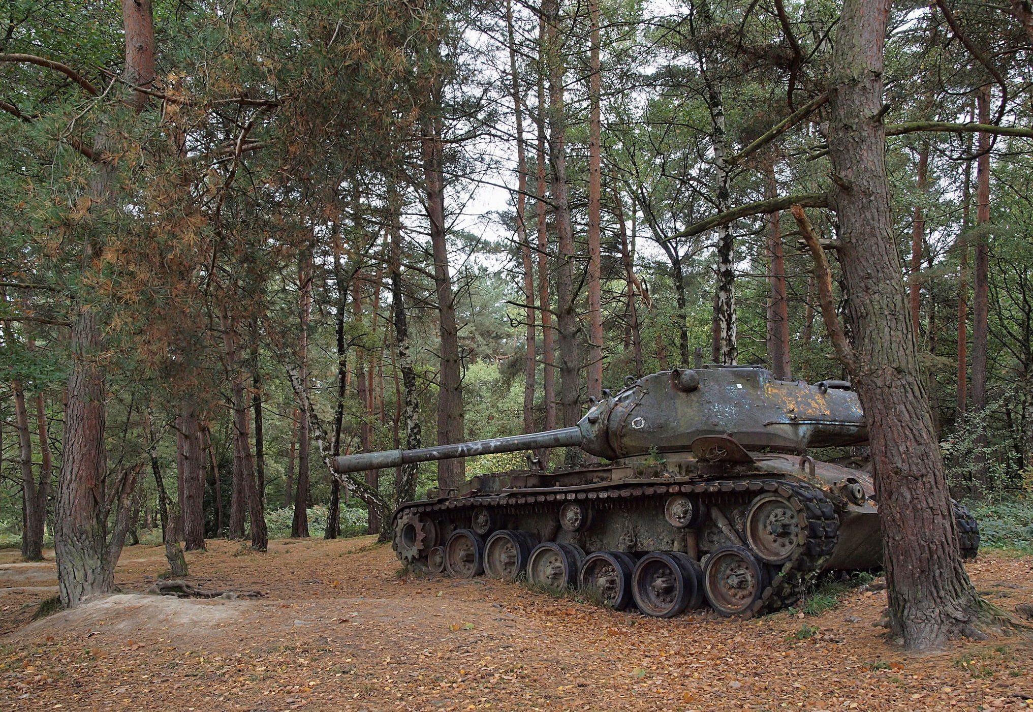 woodland, vehicle, outdoors, history, transportation, conflict, 1080P, wreck, aggression, forest, nature, weapon, plant, M47 Patton, the past, trunk, land vehicle, HD Wallpaper